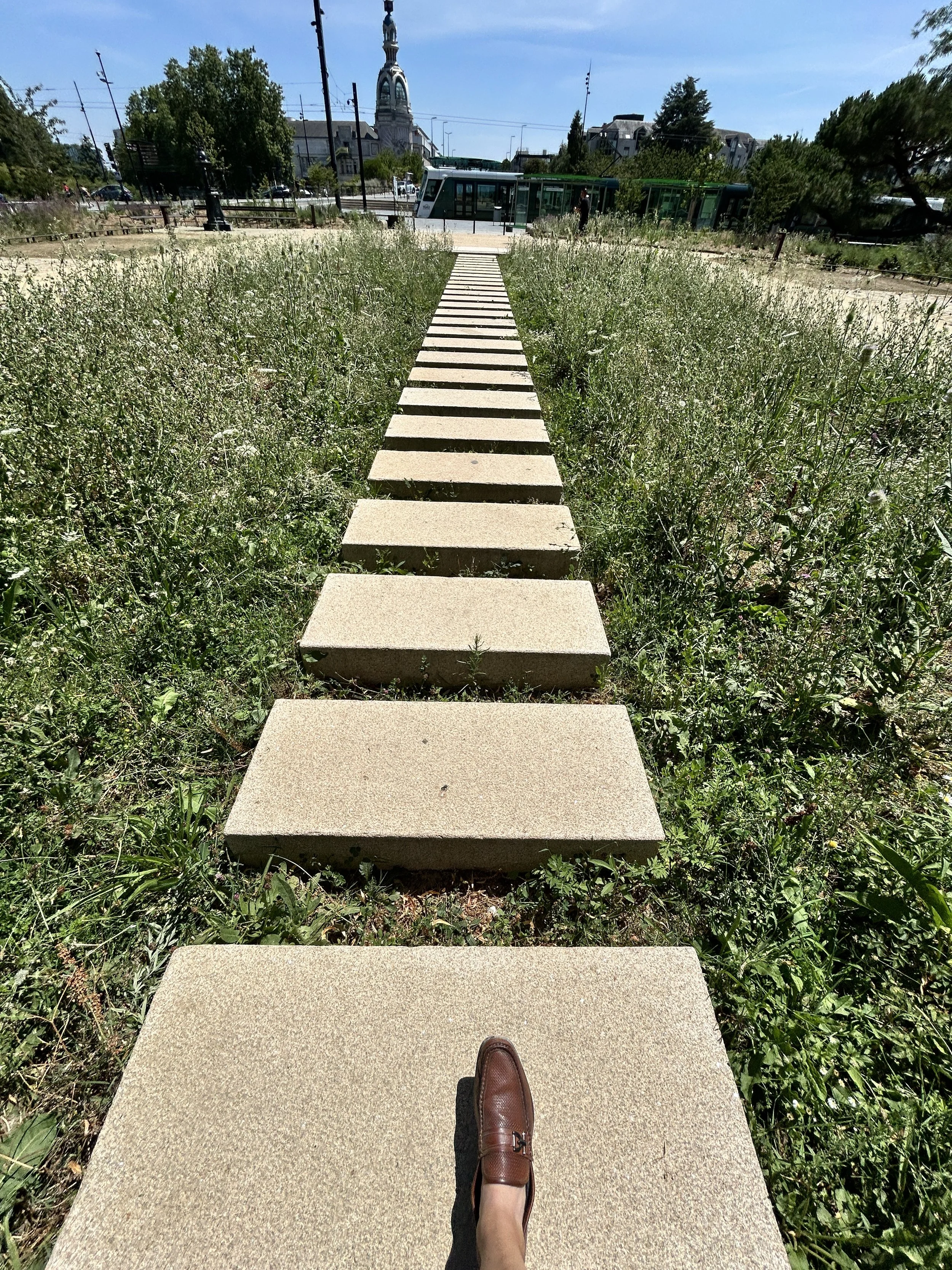 20260710_124653793_iOS.jpg