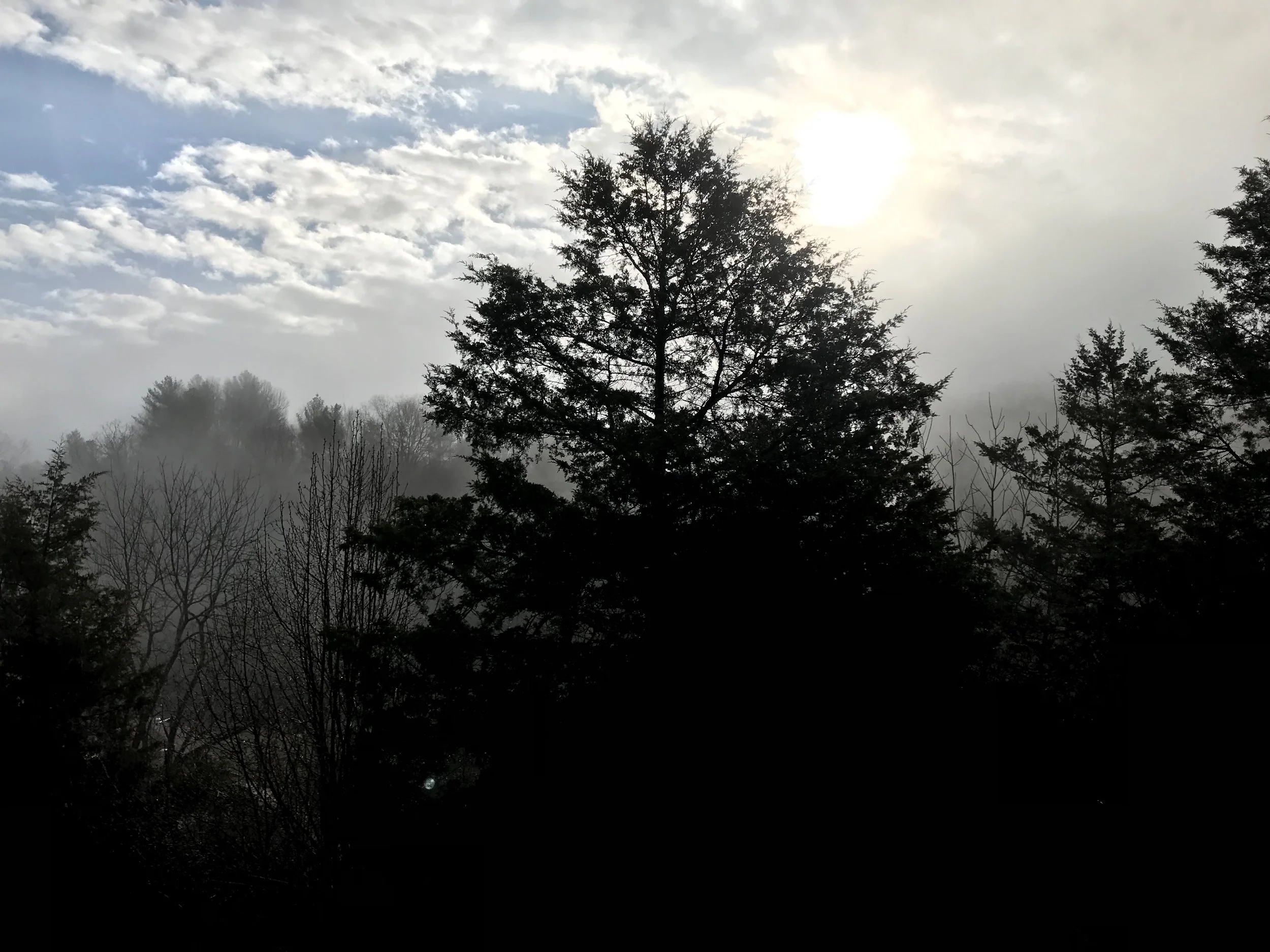 20190406_125024992_iOS (1).jpg