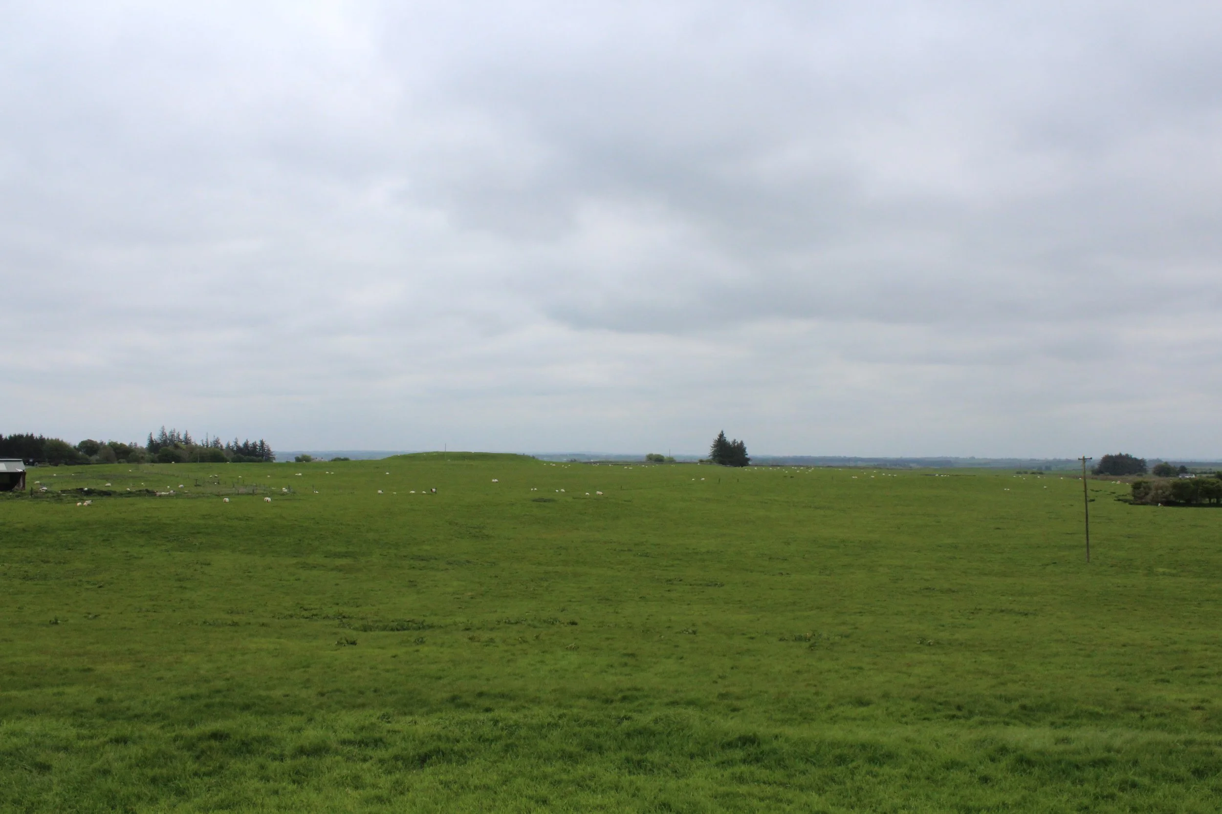 15-0514_Rathcroghan-35.JPG
