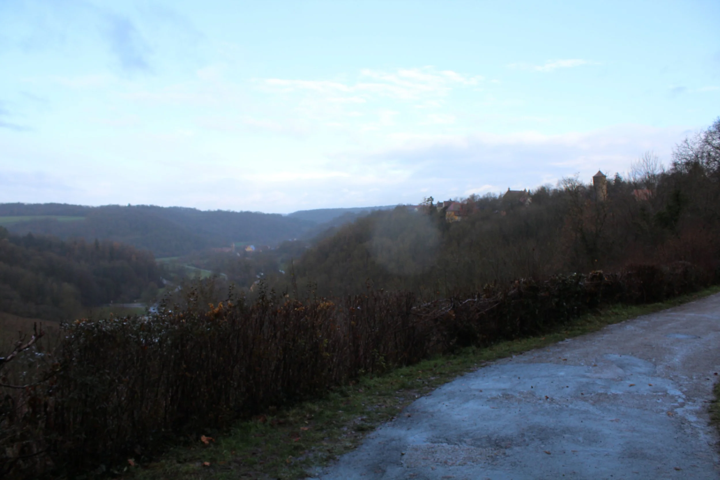 IMG_3755.JPG