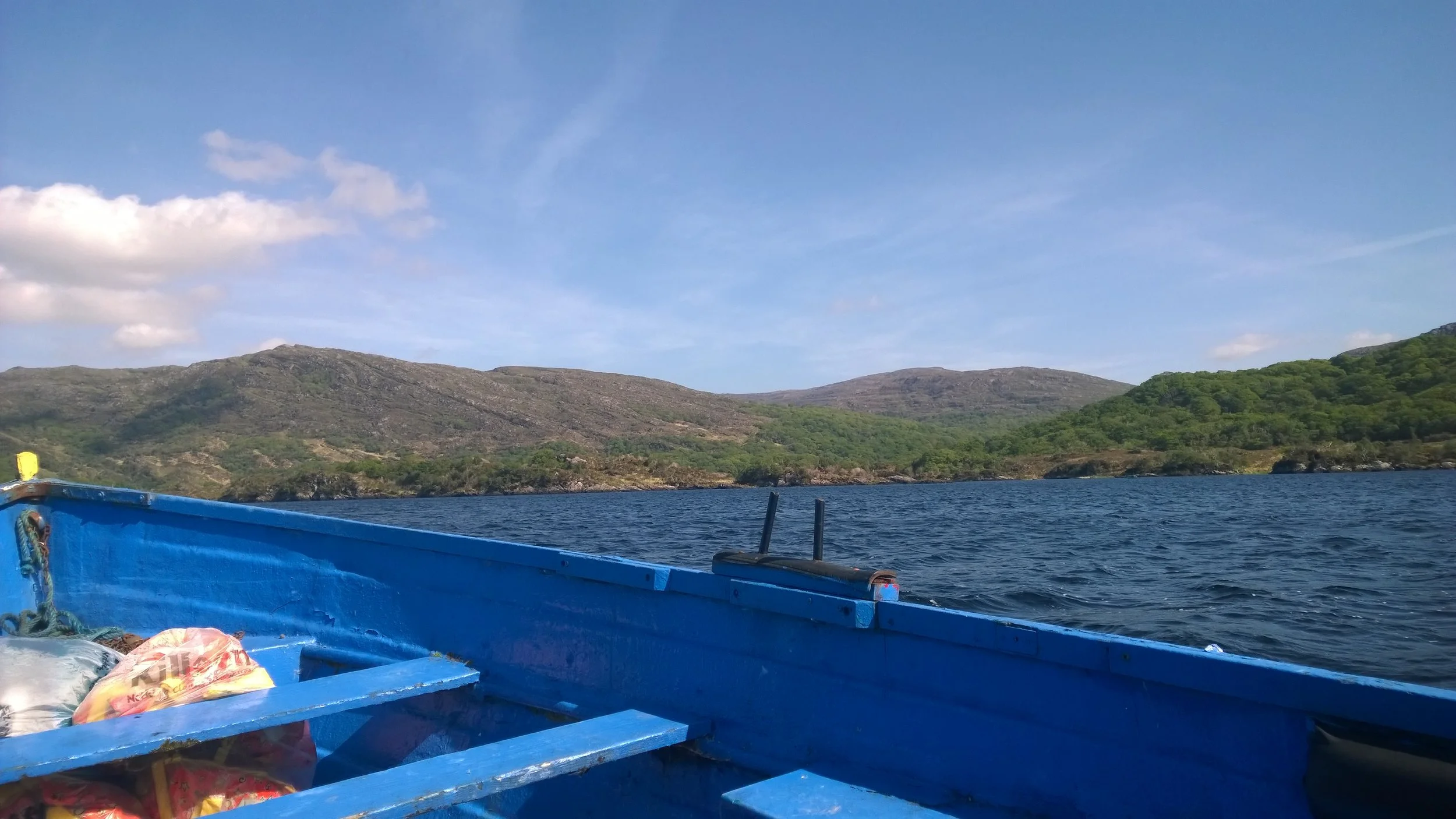 WP_20150520_006.jpg