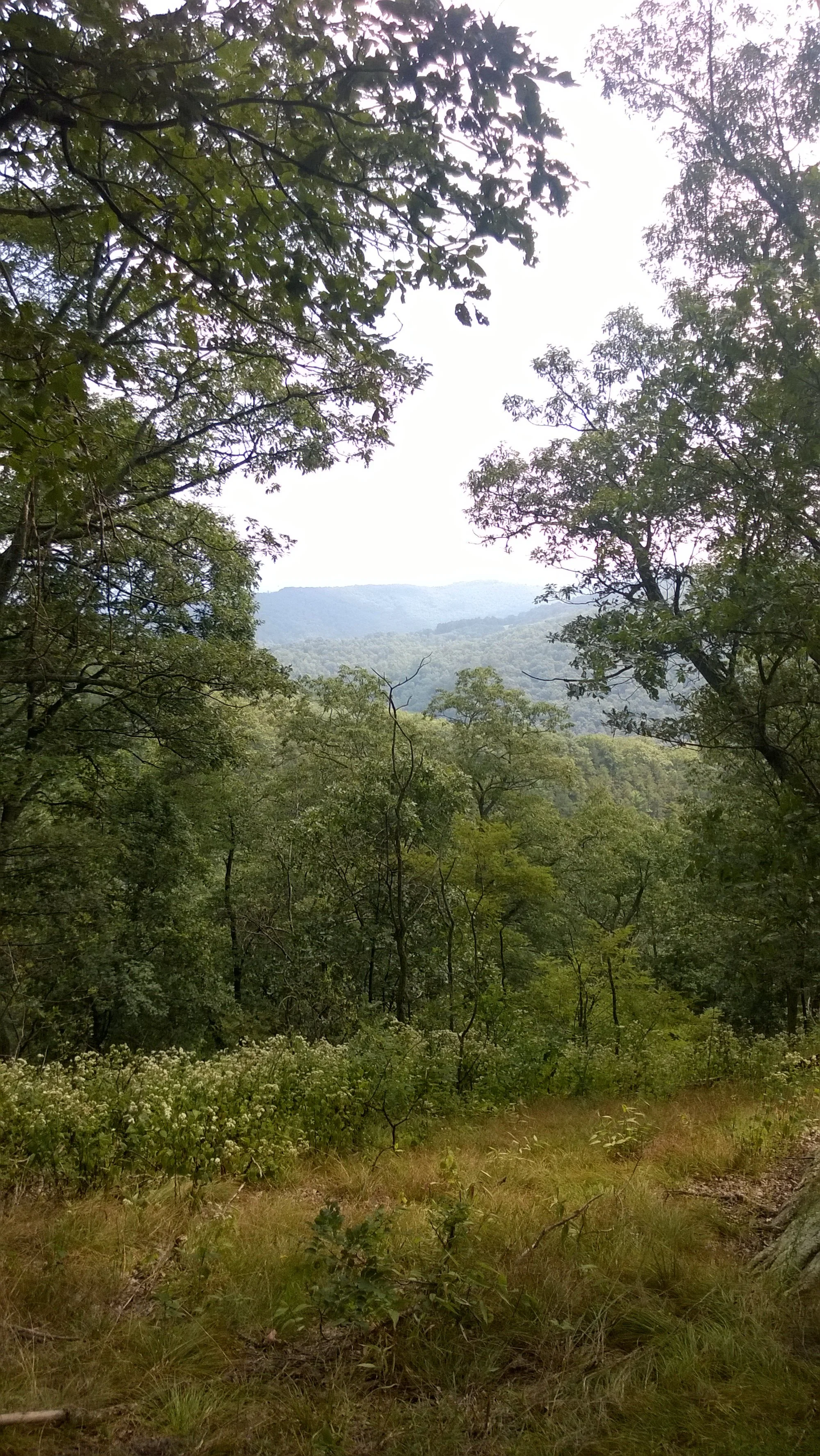WP_20140830_14_22_01_Pro.jpg