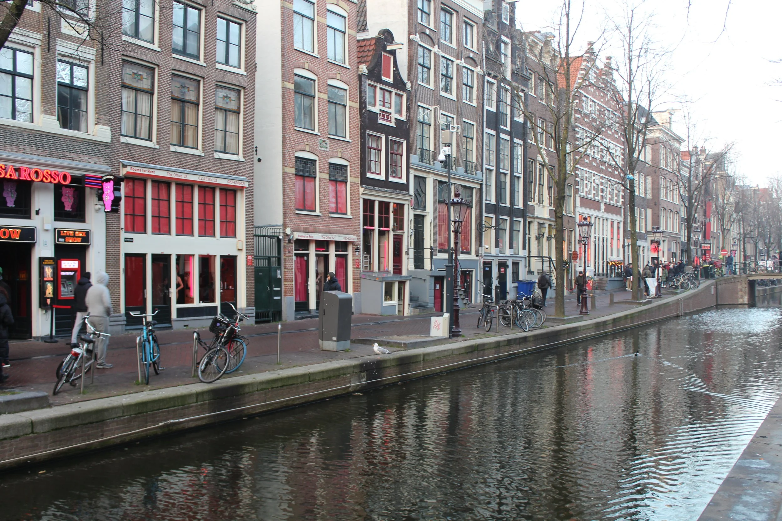 IMG_3500.JPG