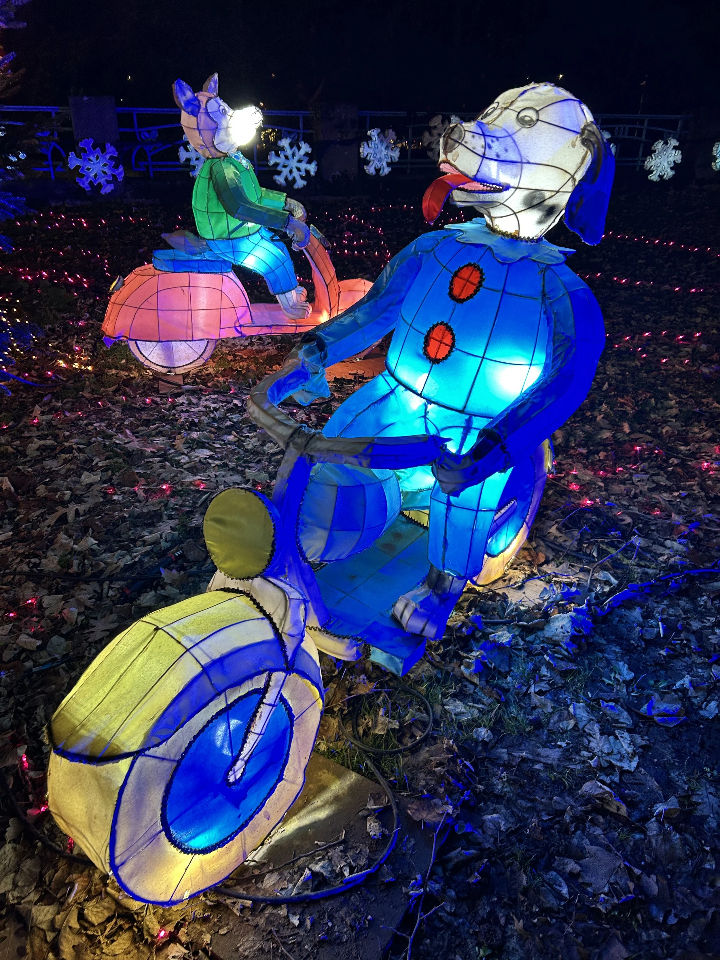 20251216_164259879_iOS.jpg