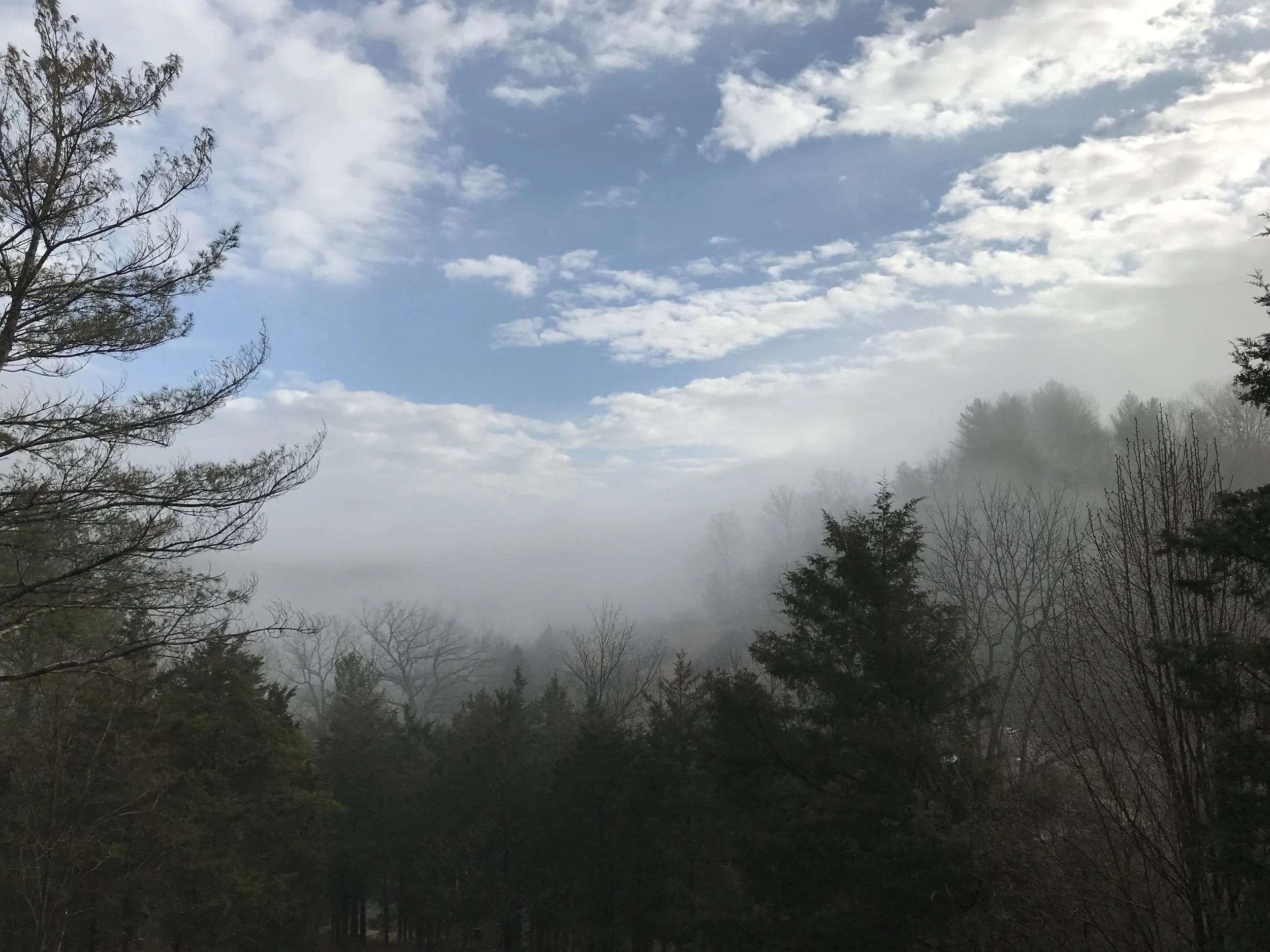 20190406_125015116_iOS (1).jpg