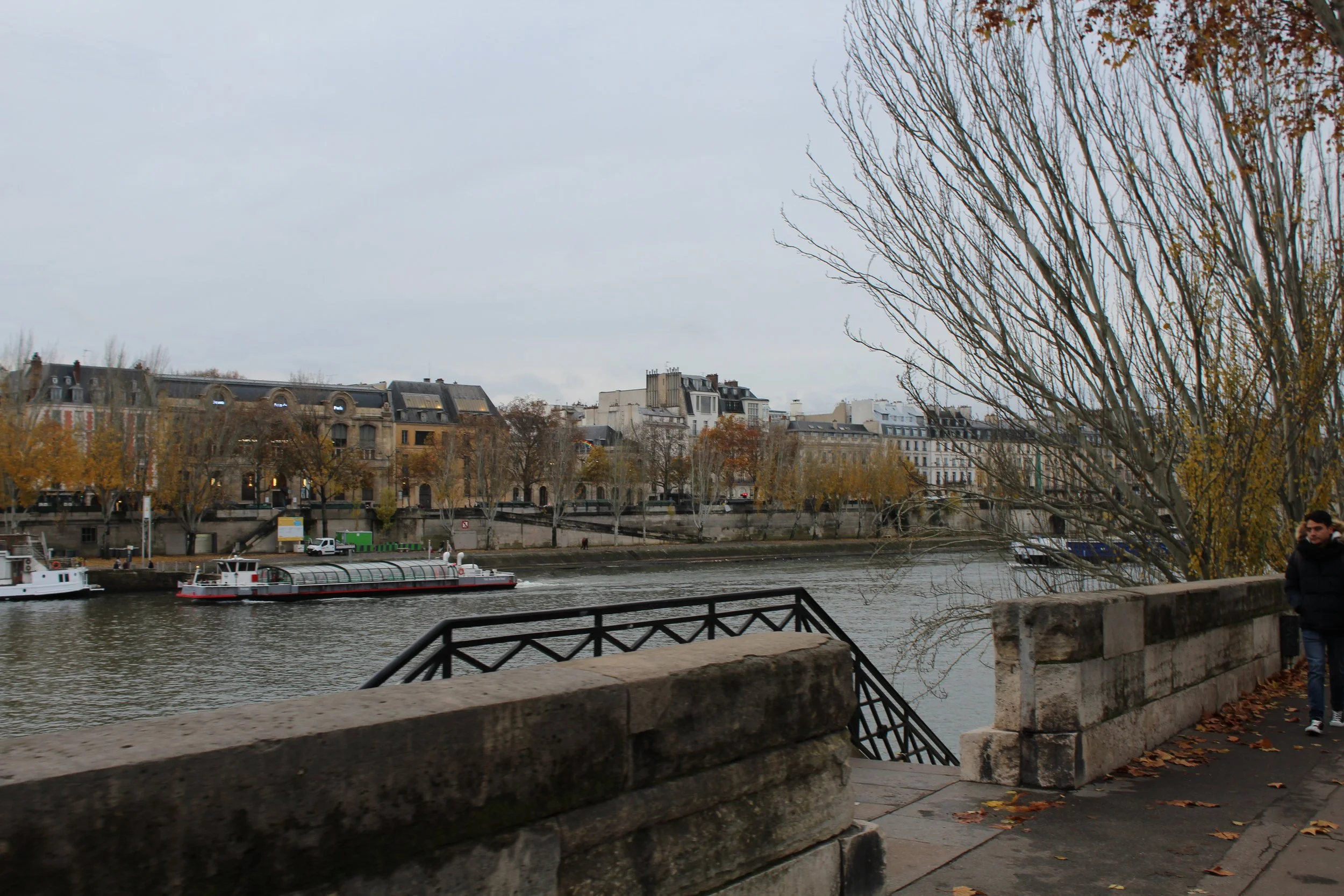 IMG_2631.JPG