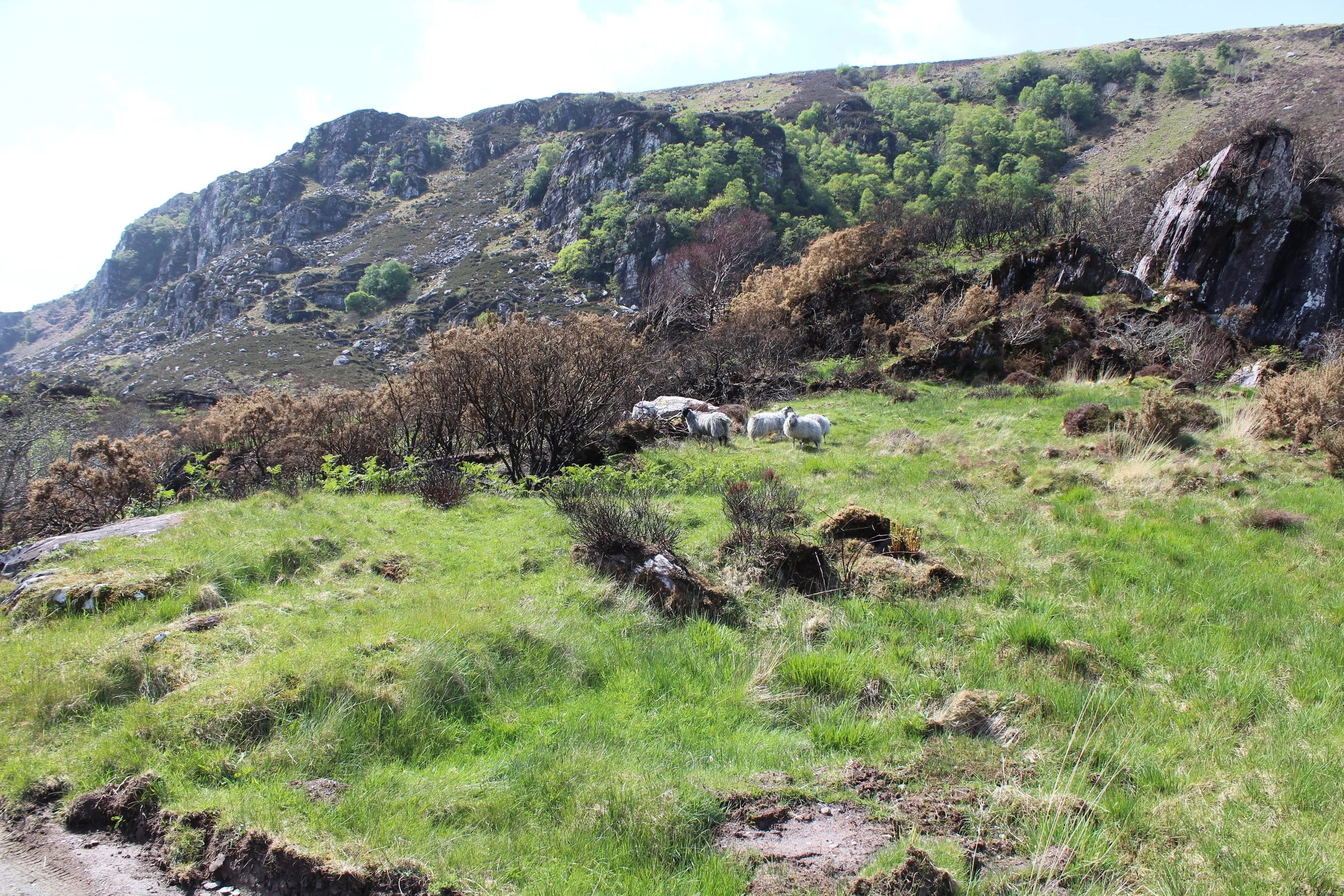 15-0519_Gap of Dunloe_2.JPG