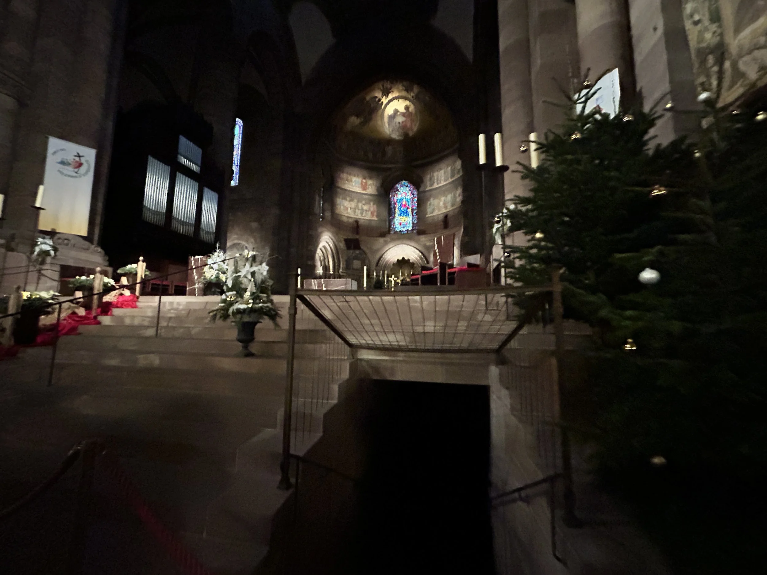 IMG_2460.JPG