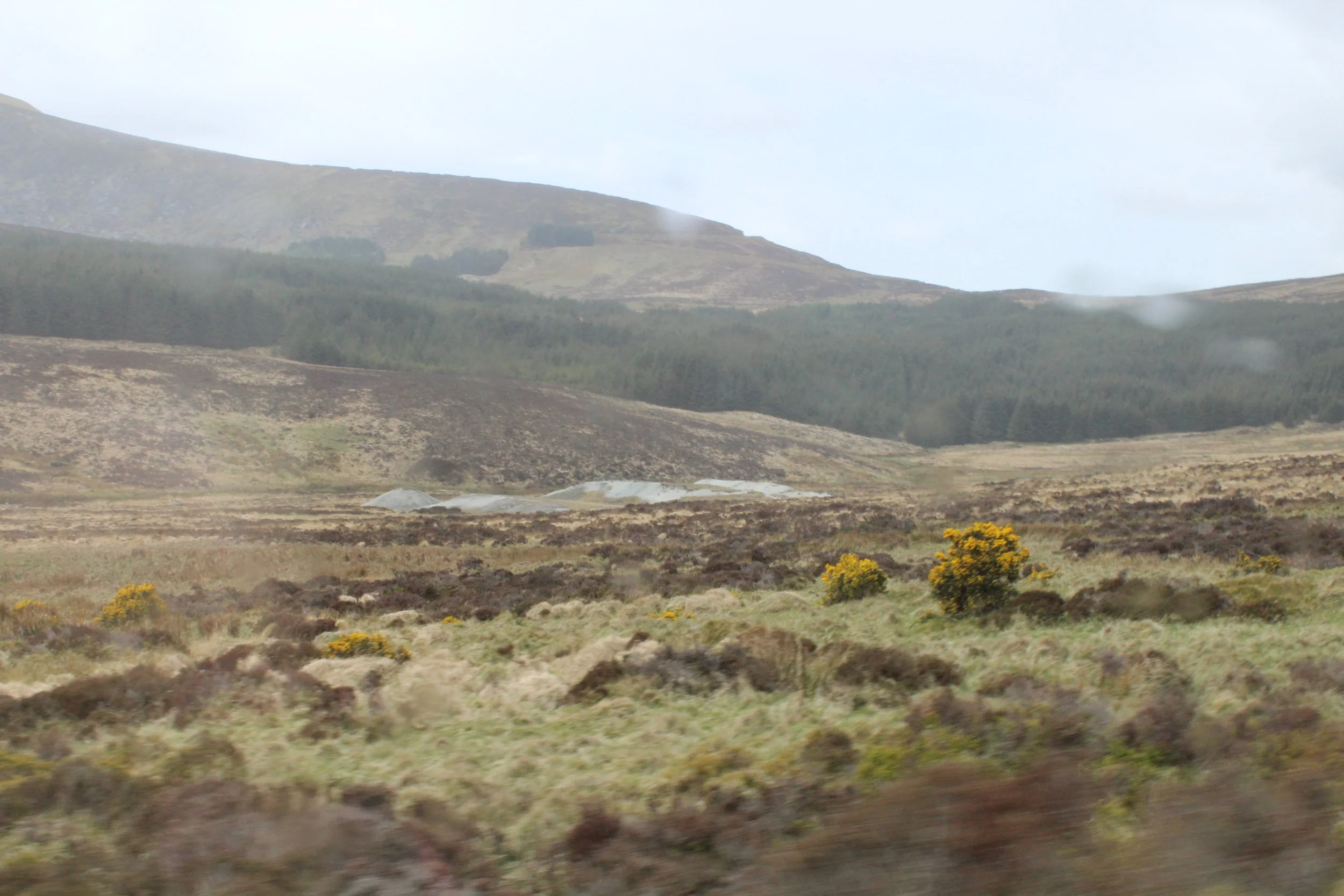 Glendalough 2015