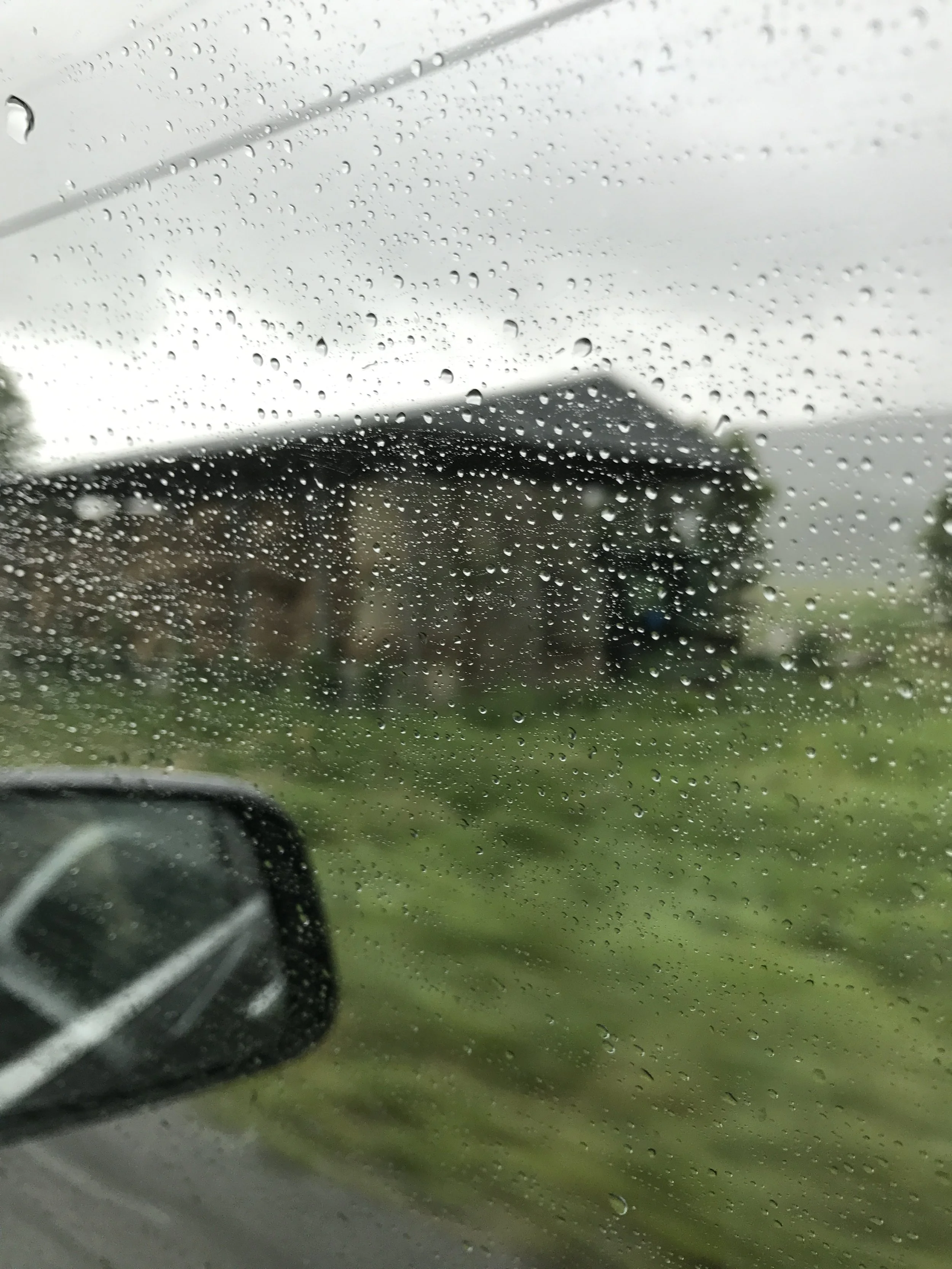 20170525_193502948_iOS.jpg