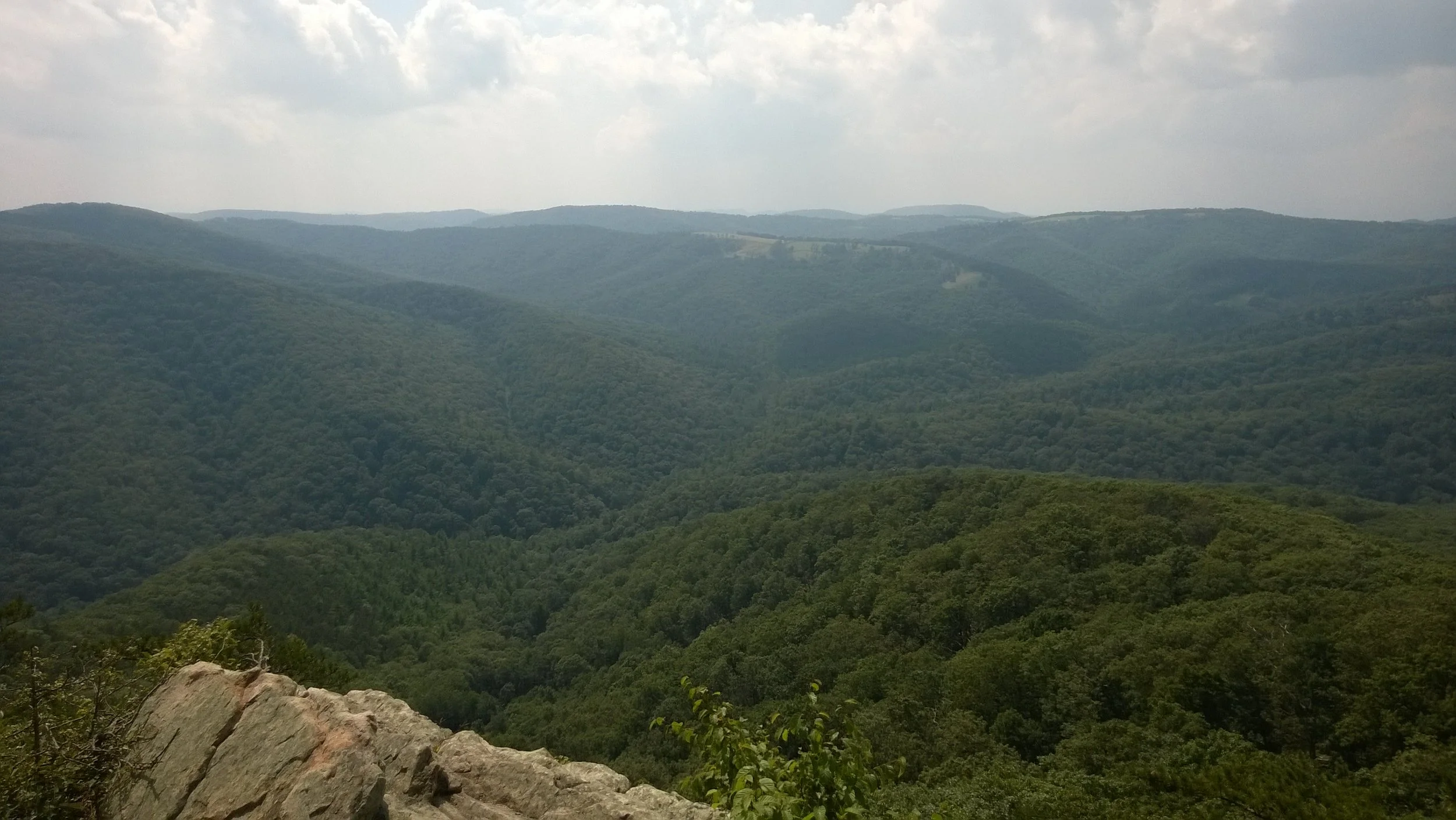 WP_20140830_14_43_15_Pro.jpg