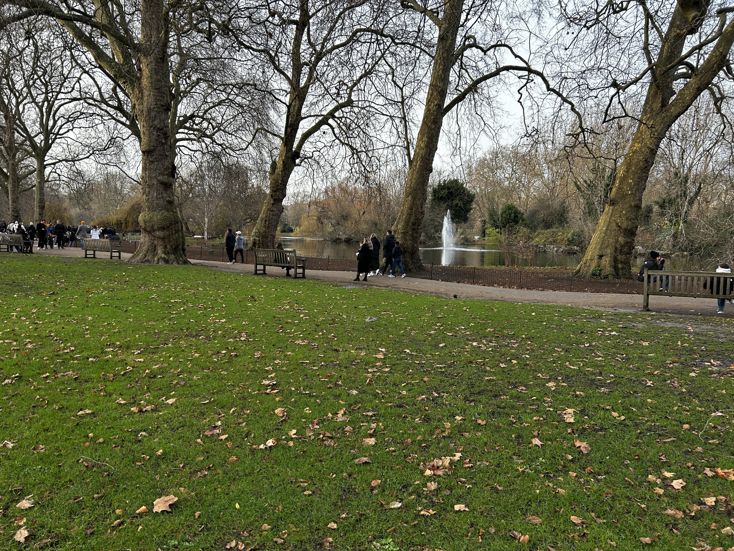 St. James Park.jpg