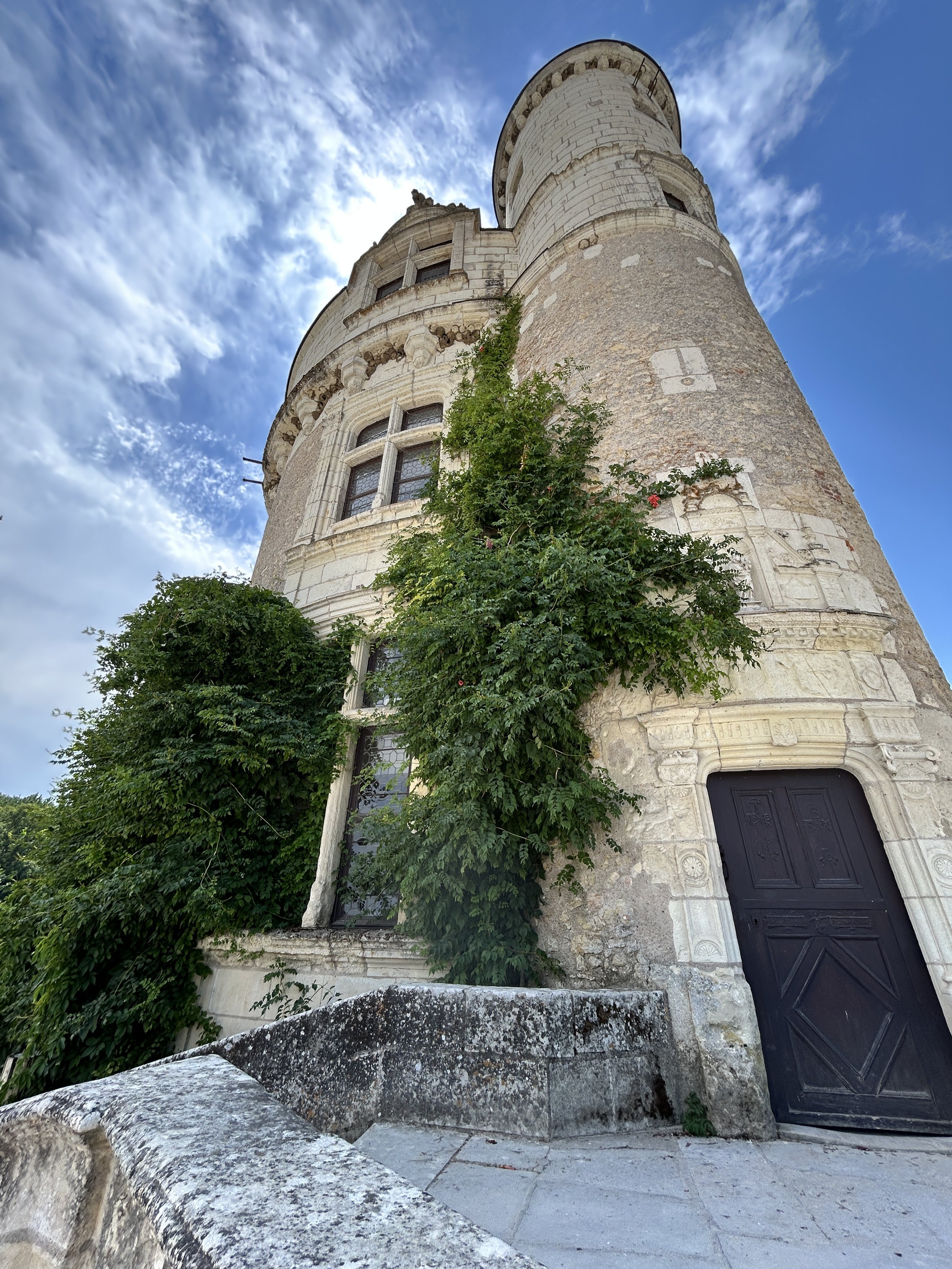 20260713_124535252_iOS.jpg