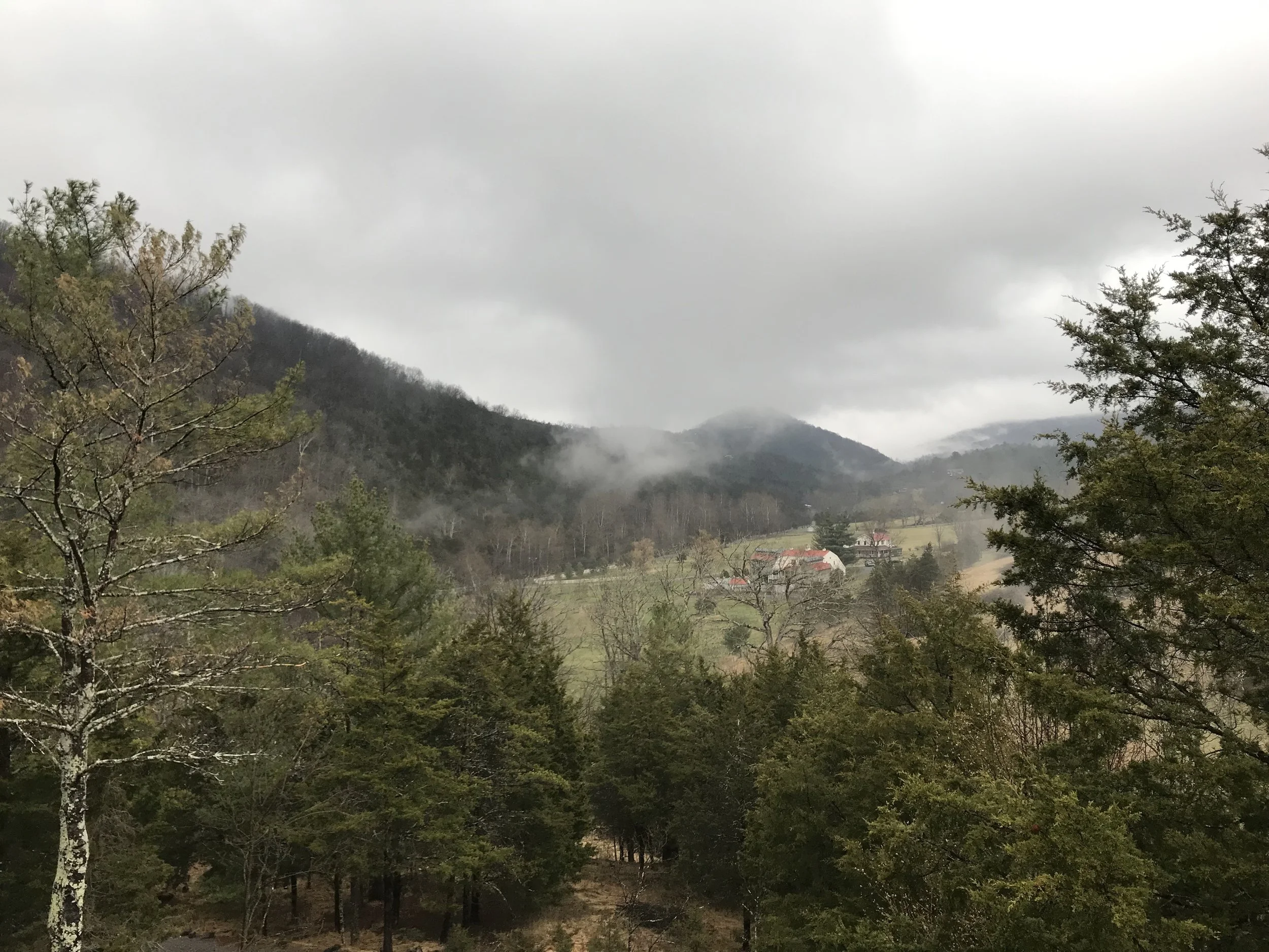 20190405_223249013_iOS (1).jpg