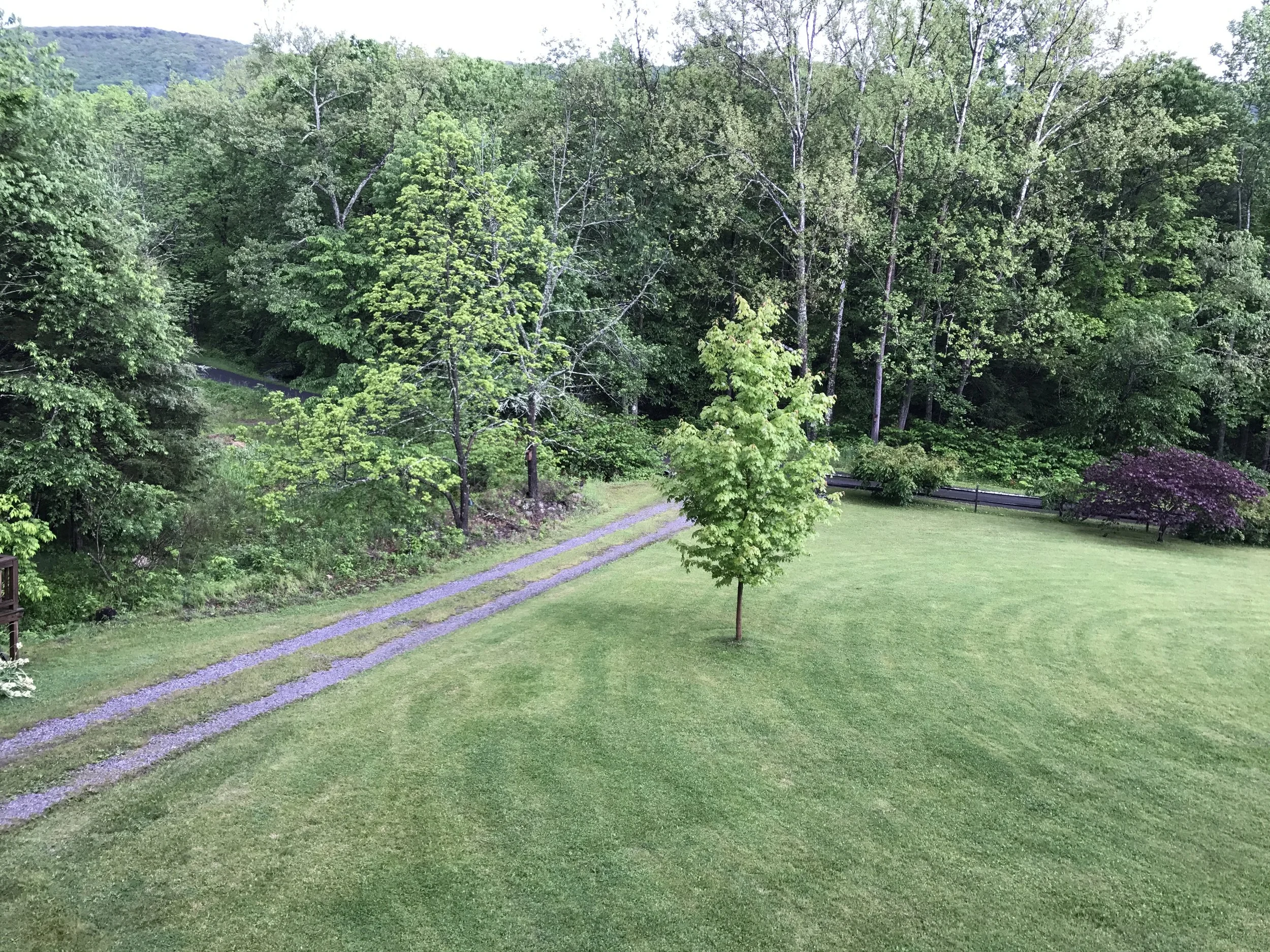 20170525_203433511_iOS.jpg