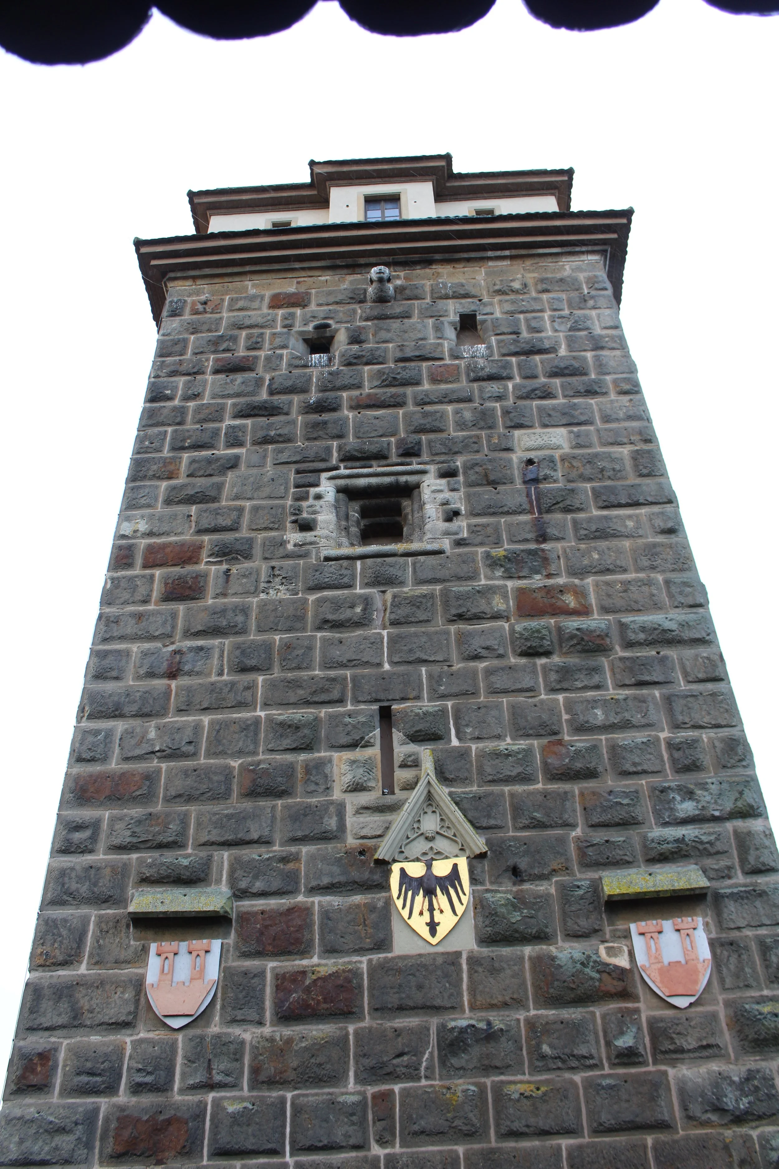 IMG_3790.JPG