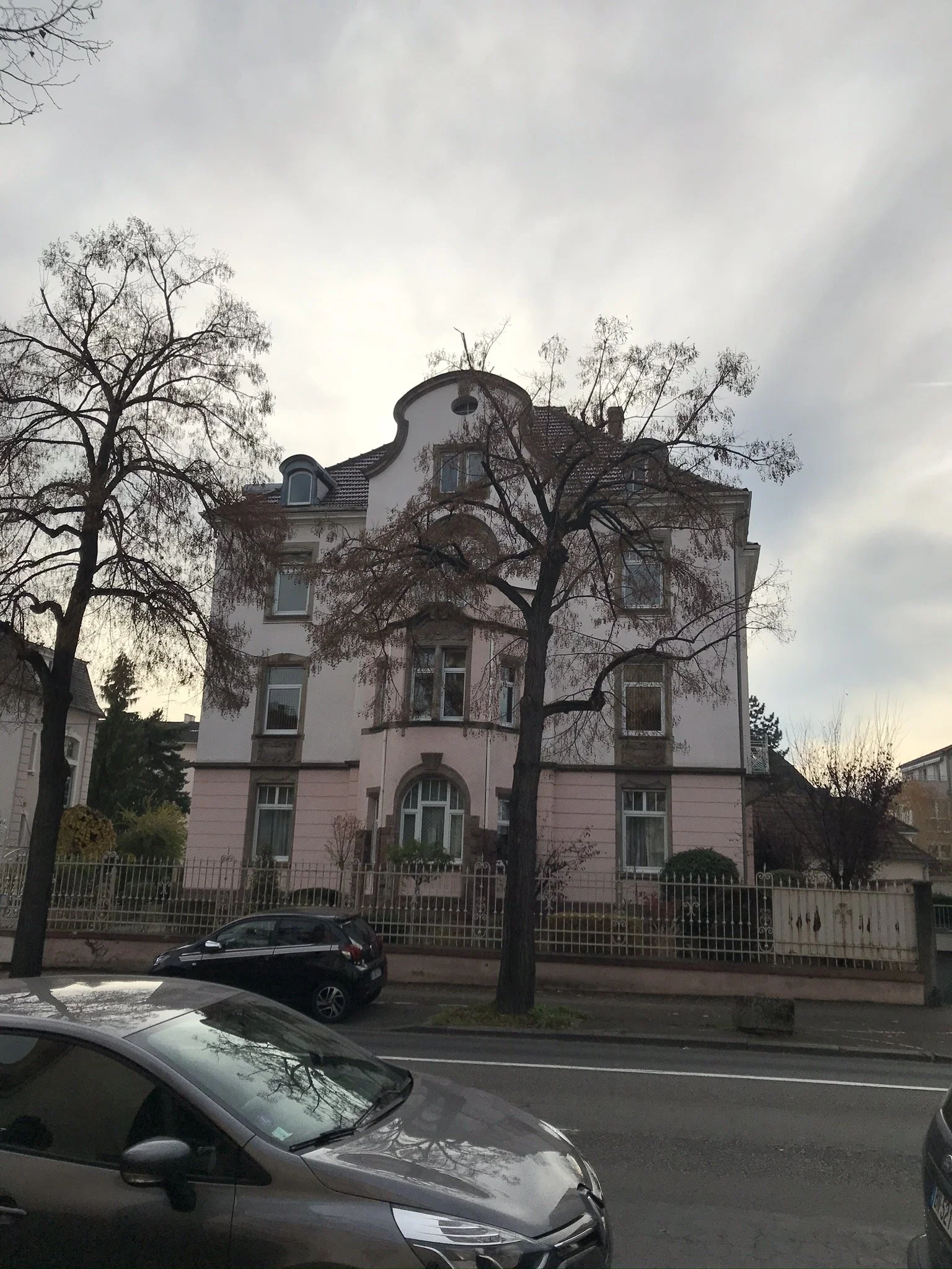 IMG_2980.JPEG