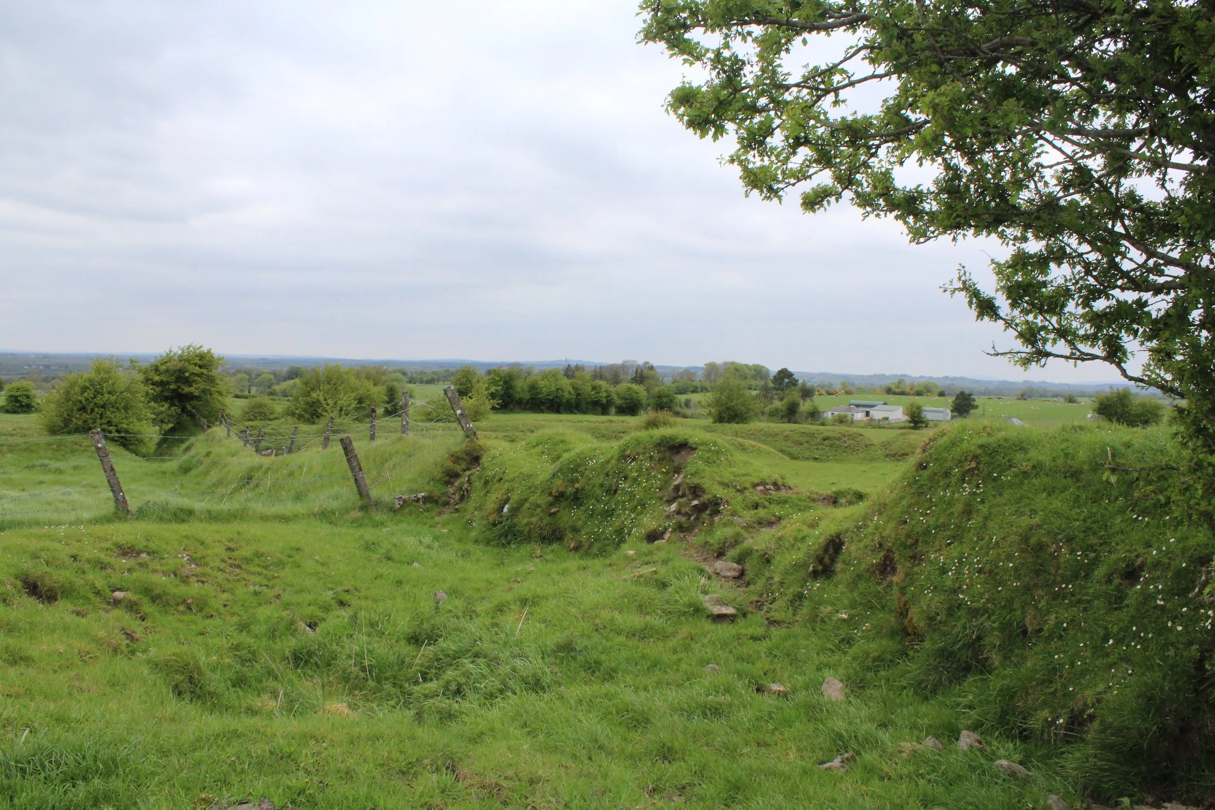 15-0514_Rathcroghan-32.JPG