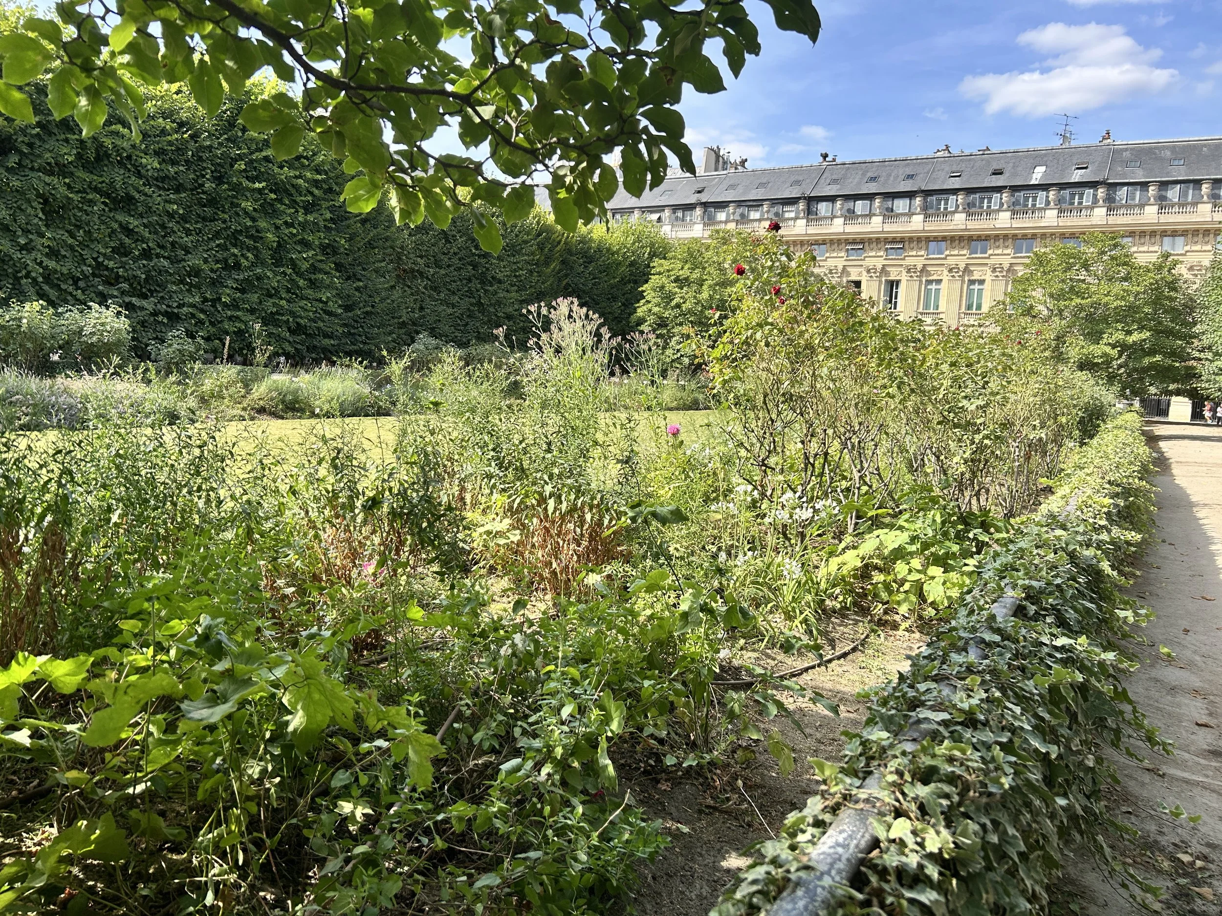 Domaine national du Palais-Royal