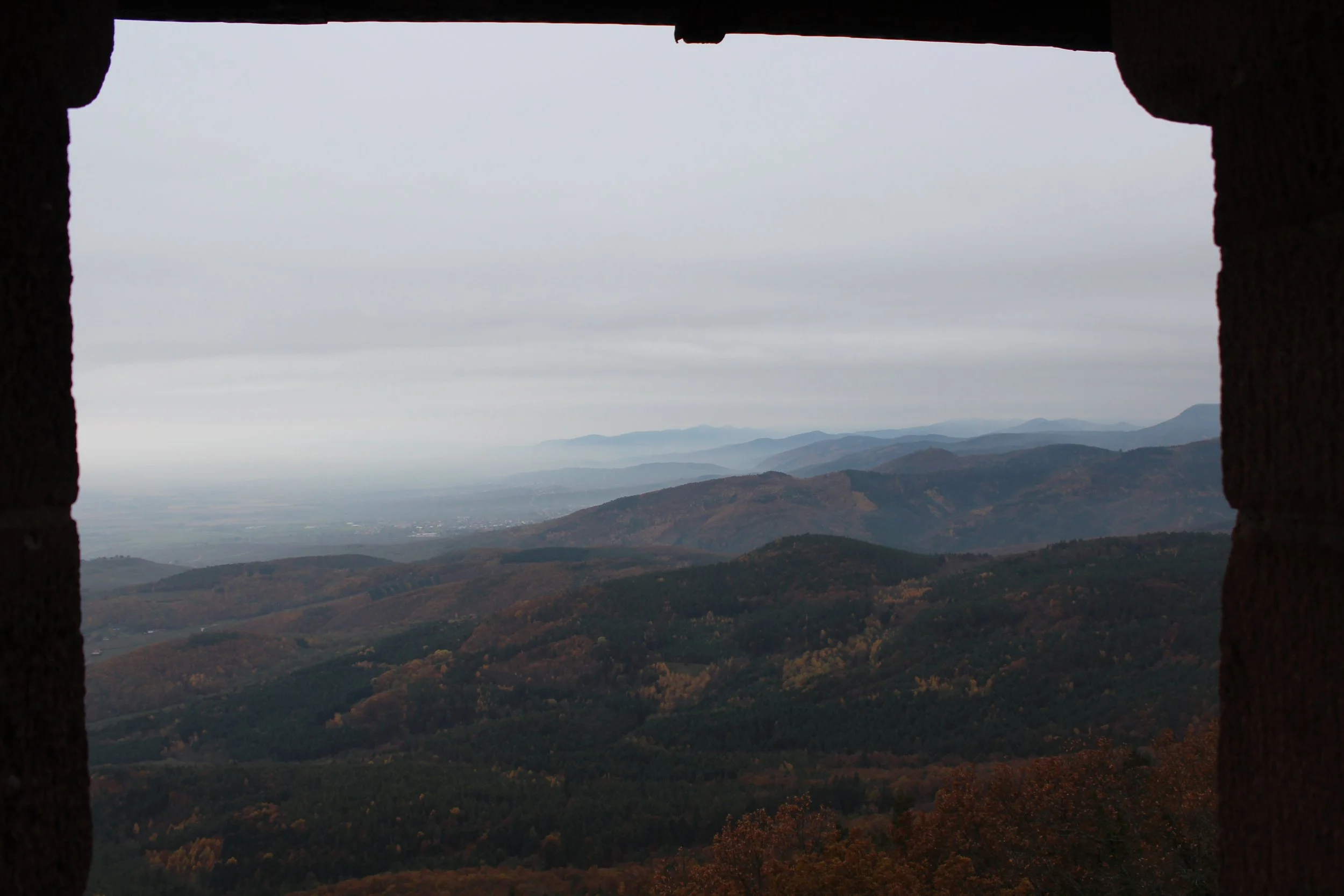IMG_2515.JPG