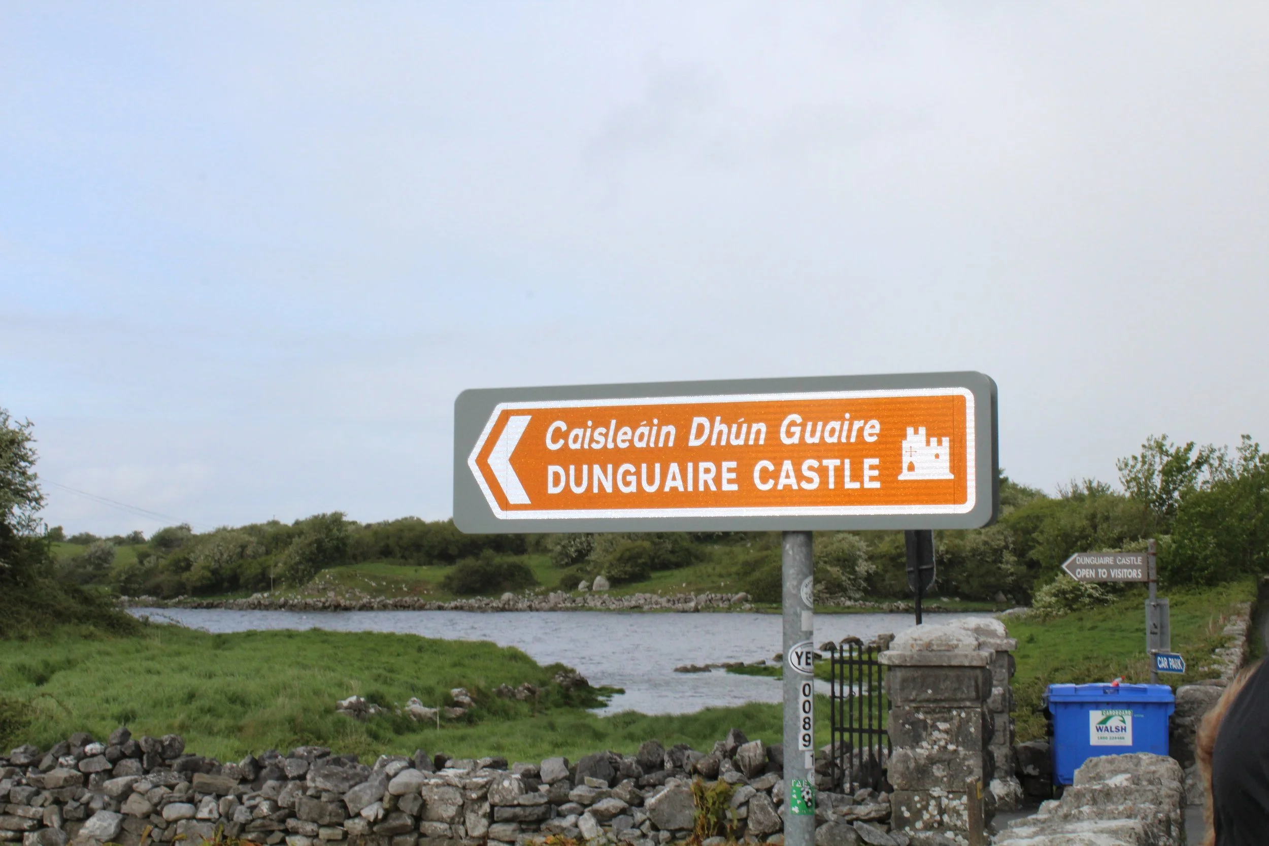 15-0516_Clare_Dunguaire Castle-1.JPG