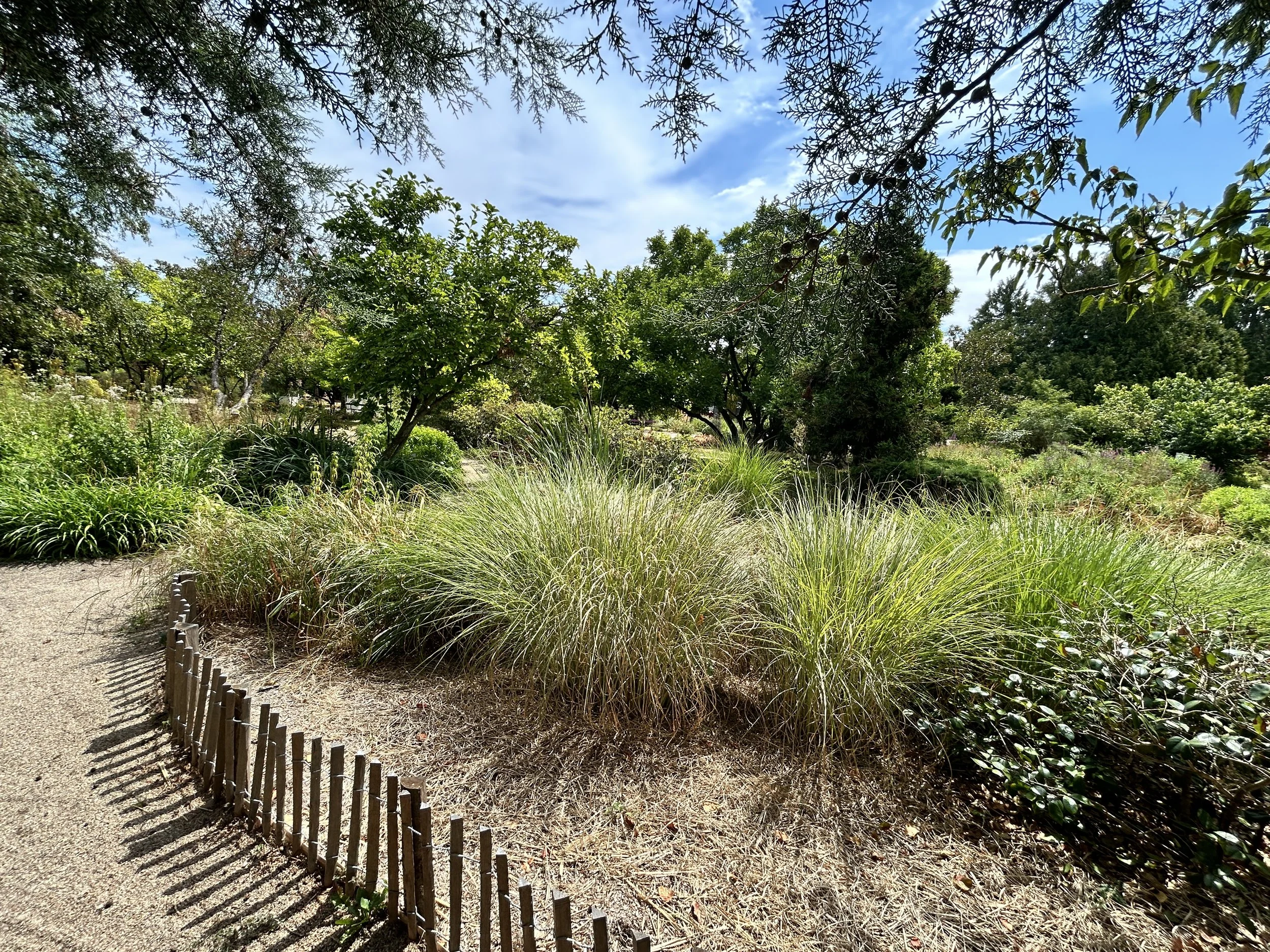 20260716_101217467_iOS.jpg
