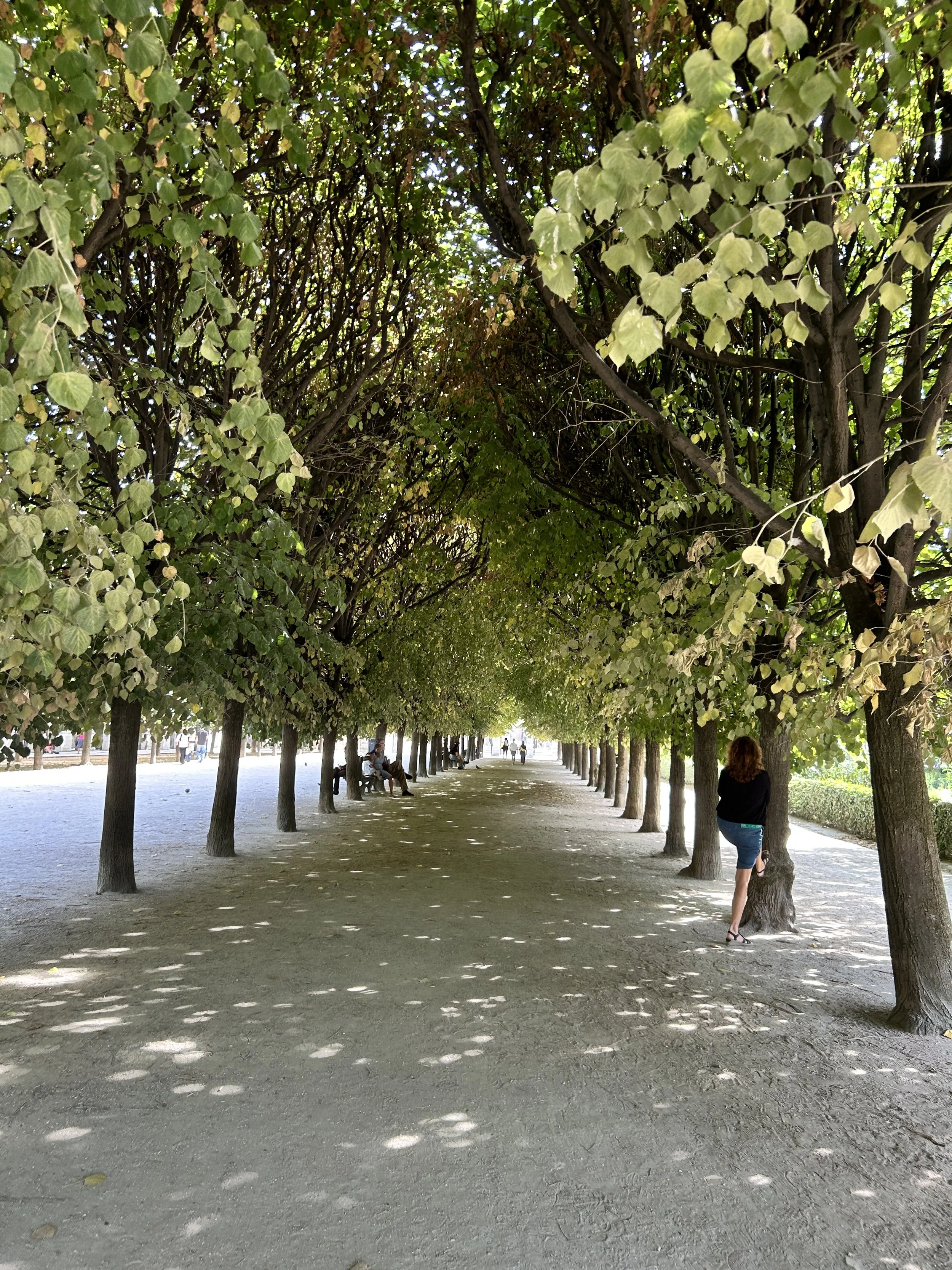 Domaine national du Palais-Royal