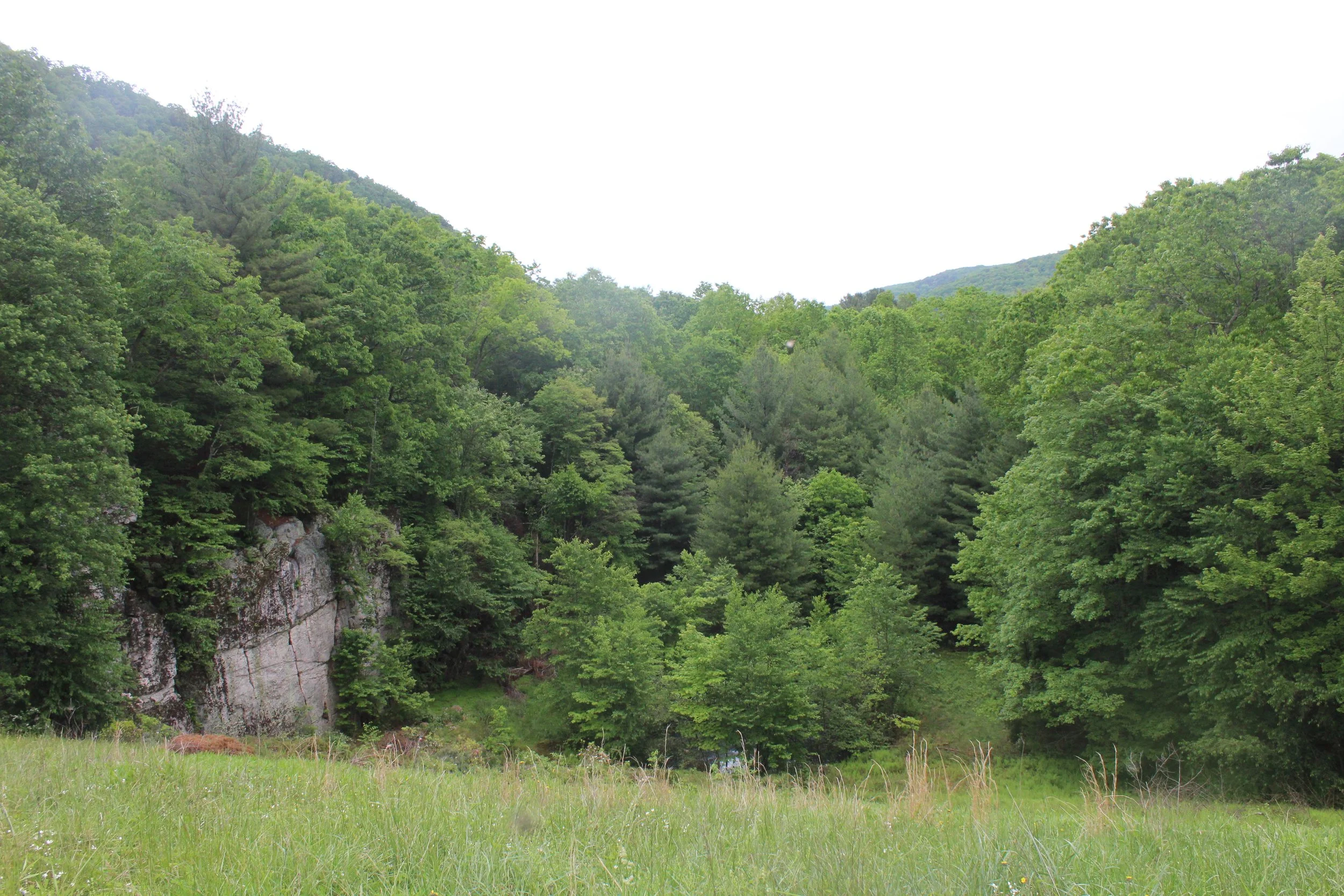 IMG_1751.JPG