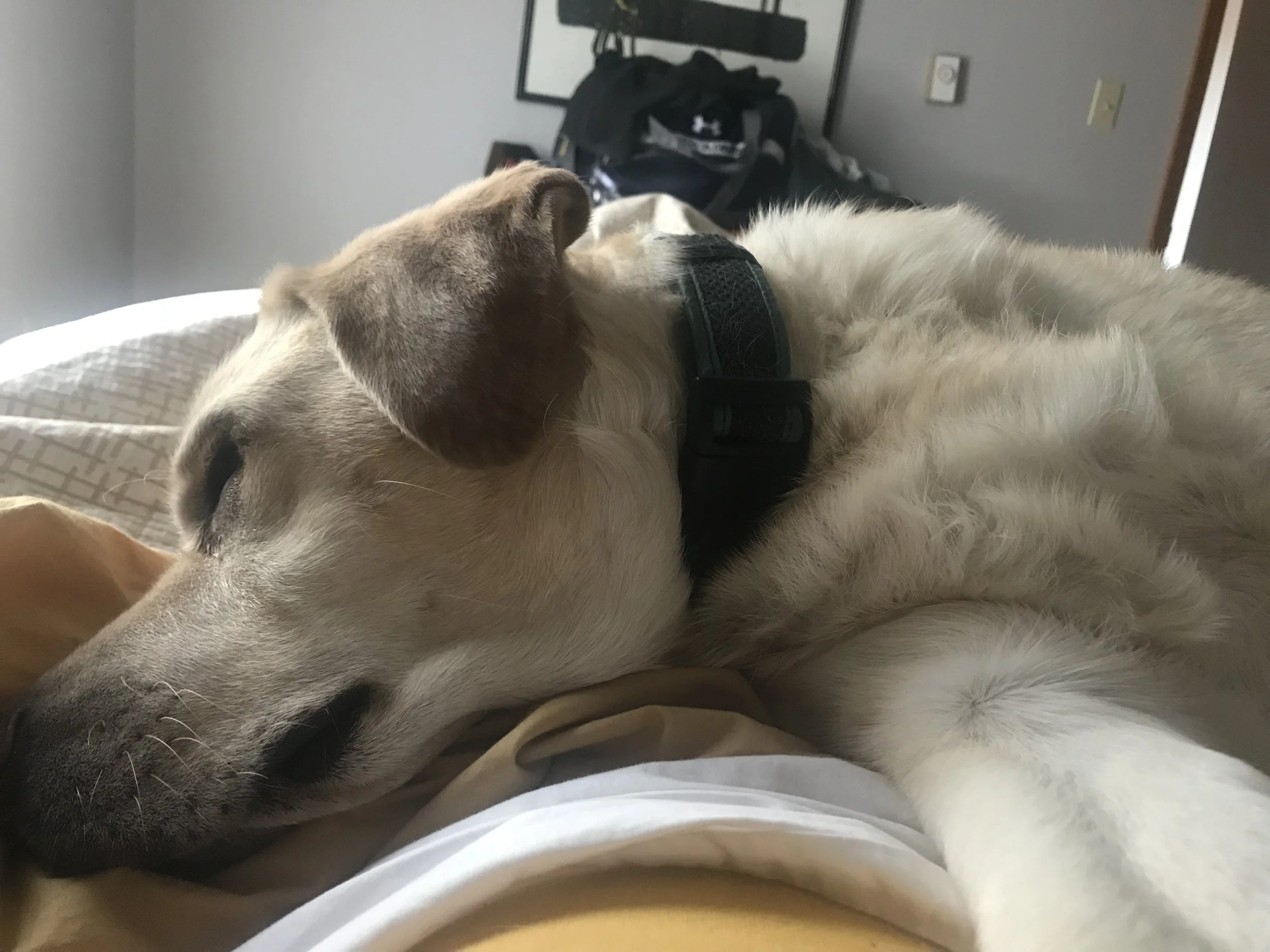 20180408_134616389_iOS.jpg