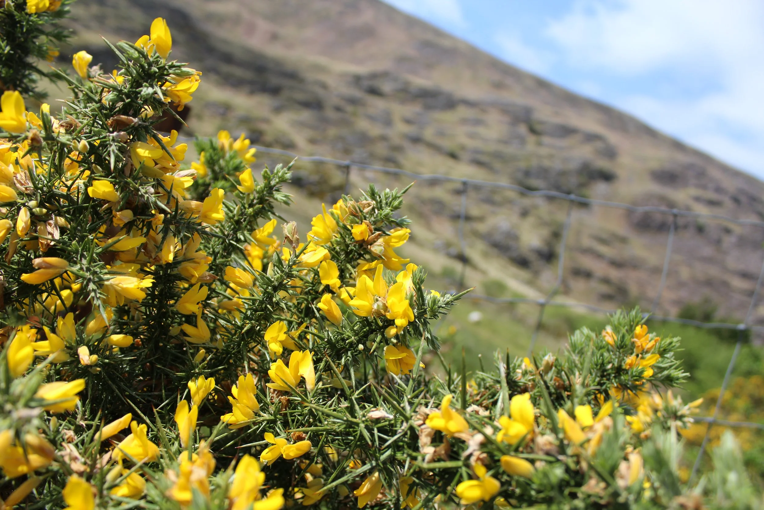 15-0519_Gap of Dunloe_32.JPG