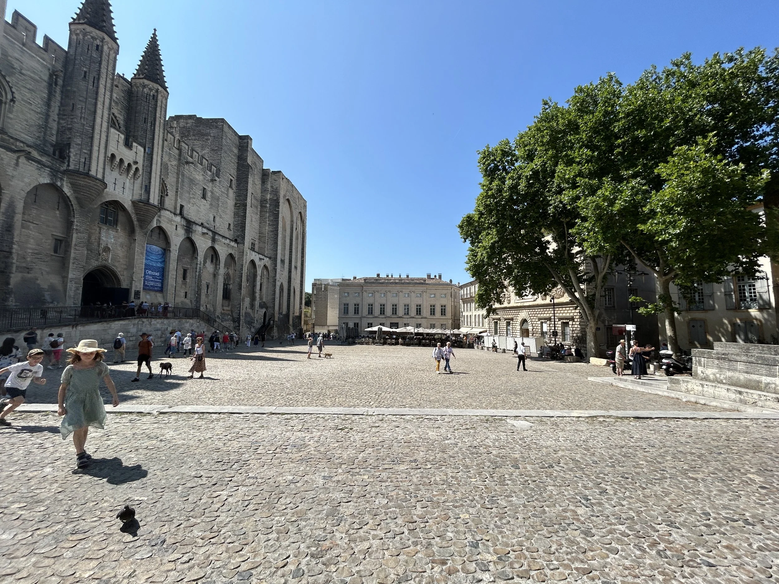 IMG_9532.JPG