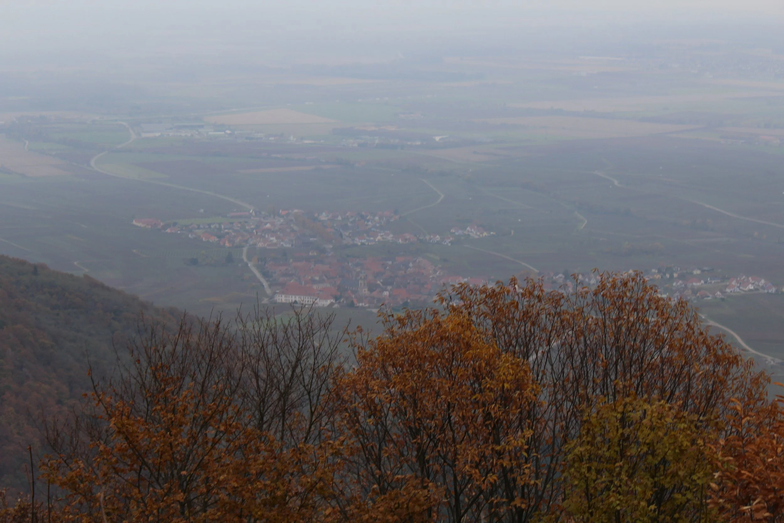 IMG_2467.JPG