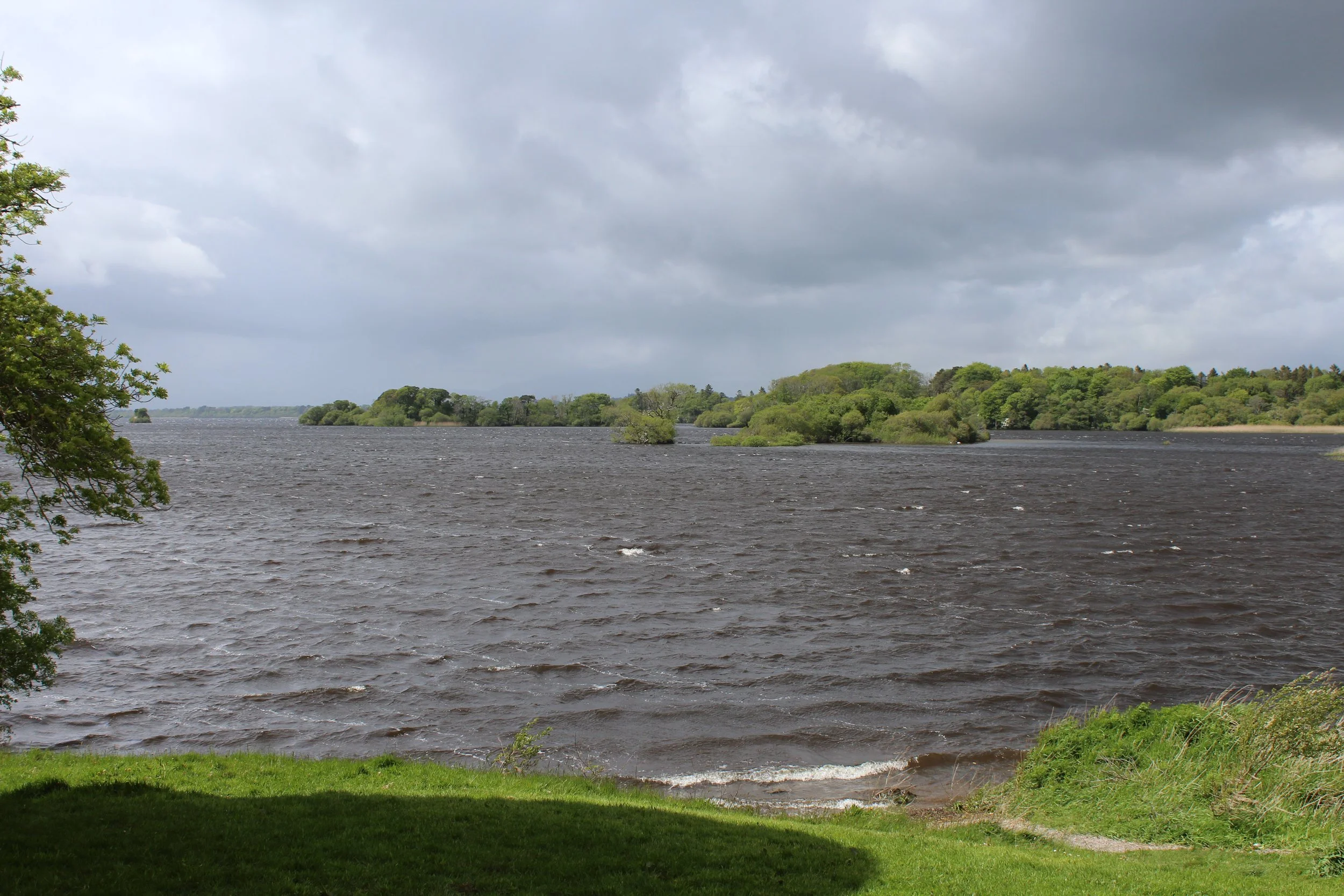 15-0518_Killarney Ross Casetle-3.JPG