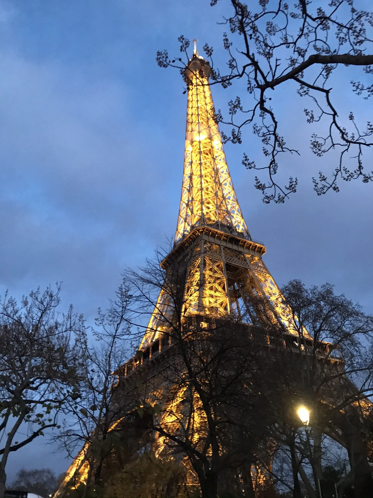 IMG_3236.JPEG