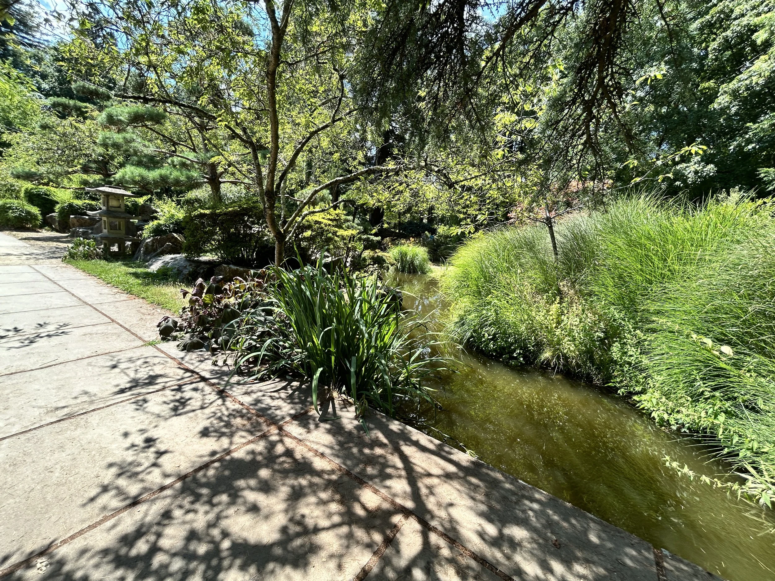 20260709_104927225_iOS.jpg