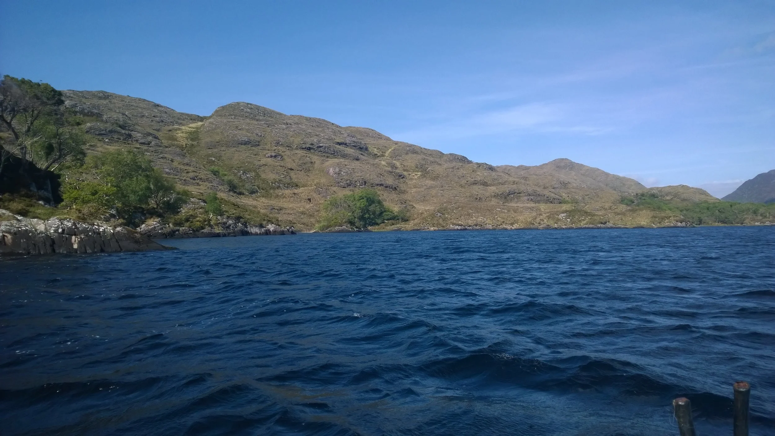WP_20150520_003.jpg