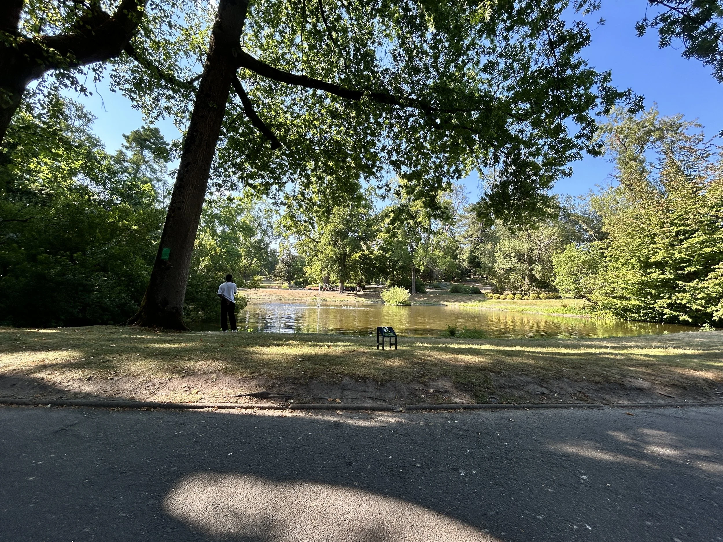 20260709_160952215_iOS.jpg