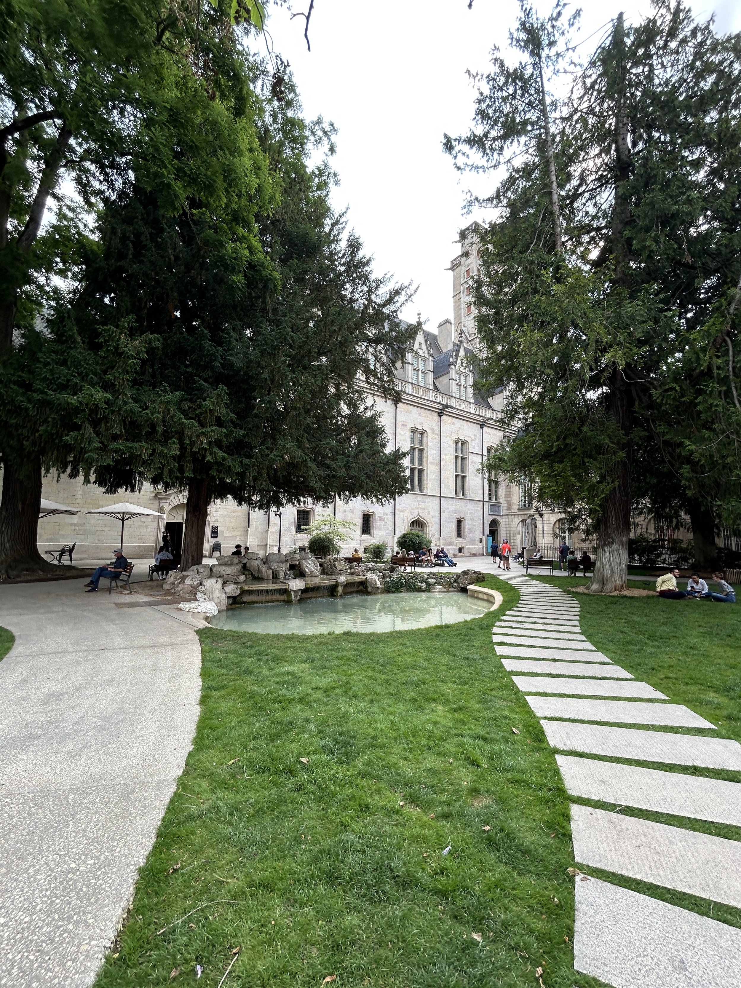 IMG_8550.JPG