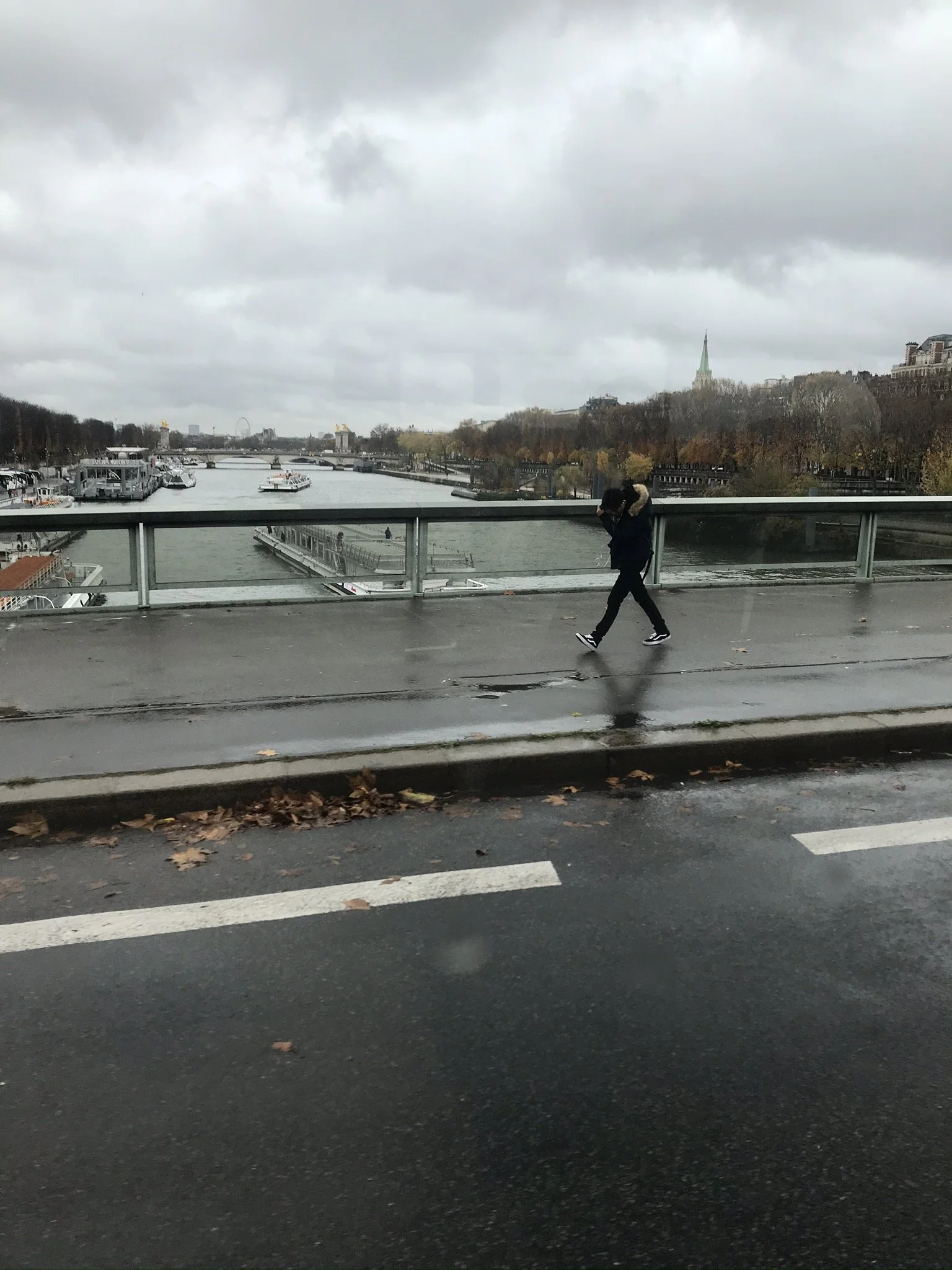 IMG_3137.JPEG
