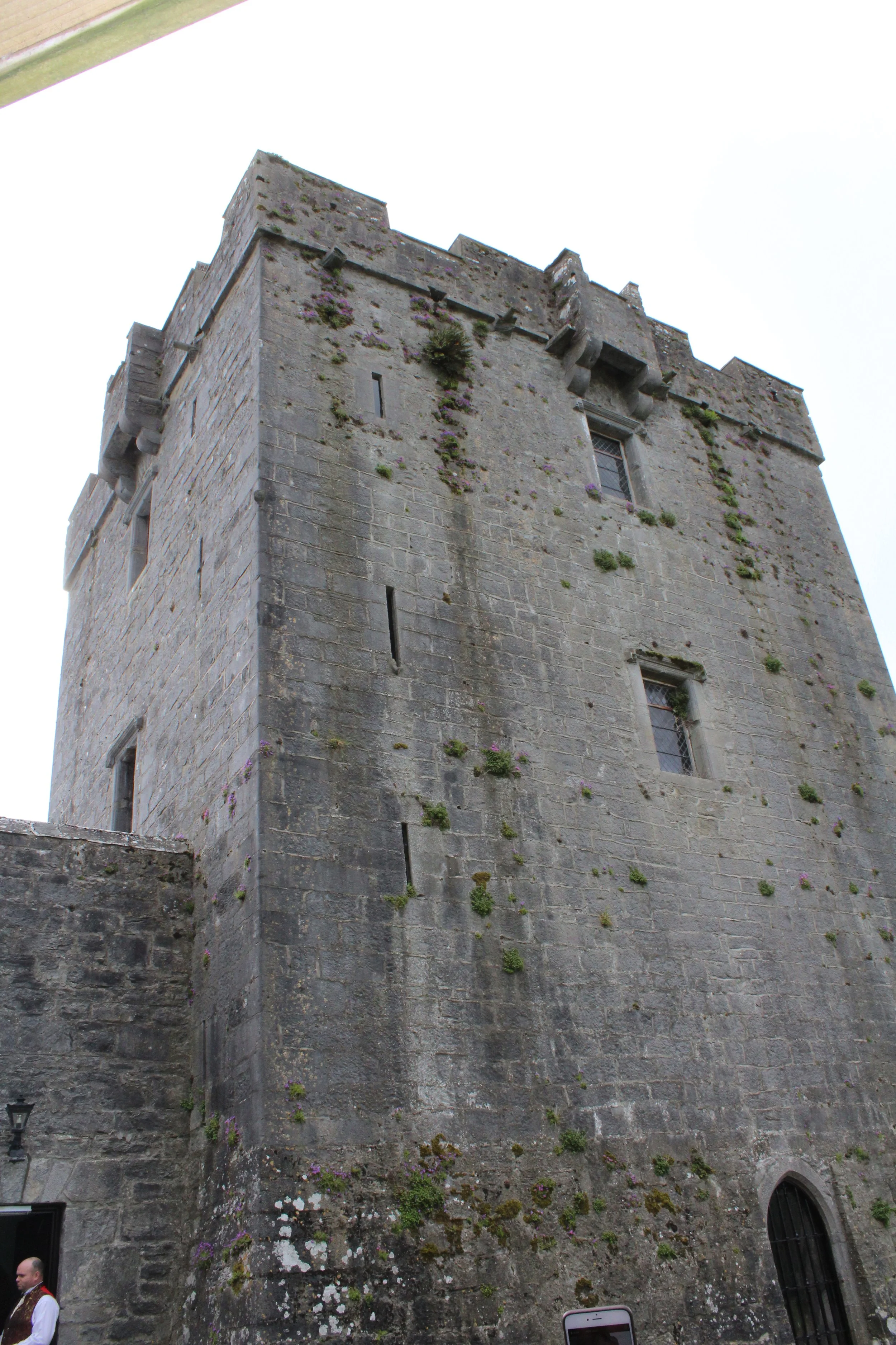 15-0516_Clare_Dunguaire Castle-3.JPG