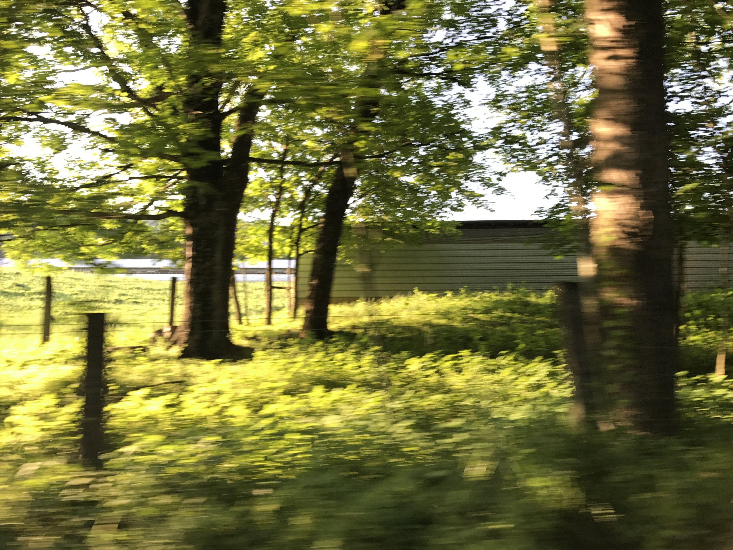 20170527_230612961_iOS.jpg