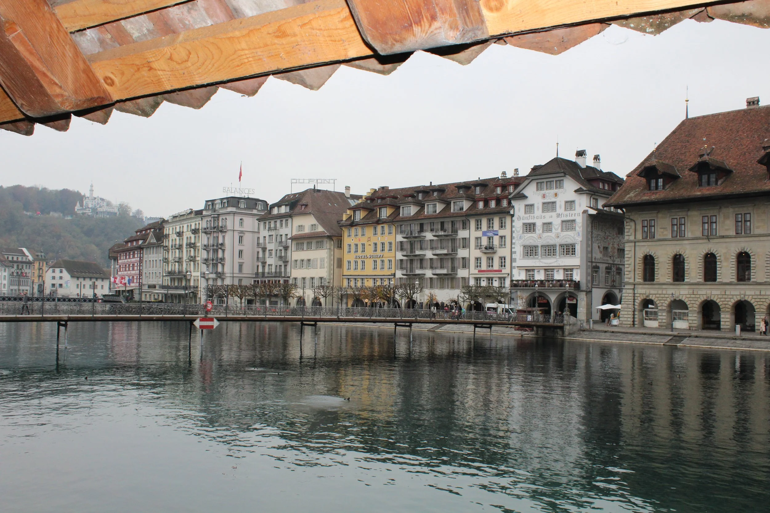 IMG_2296.JPG