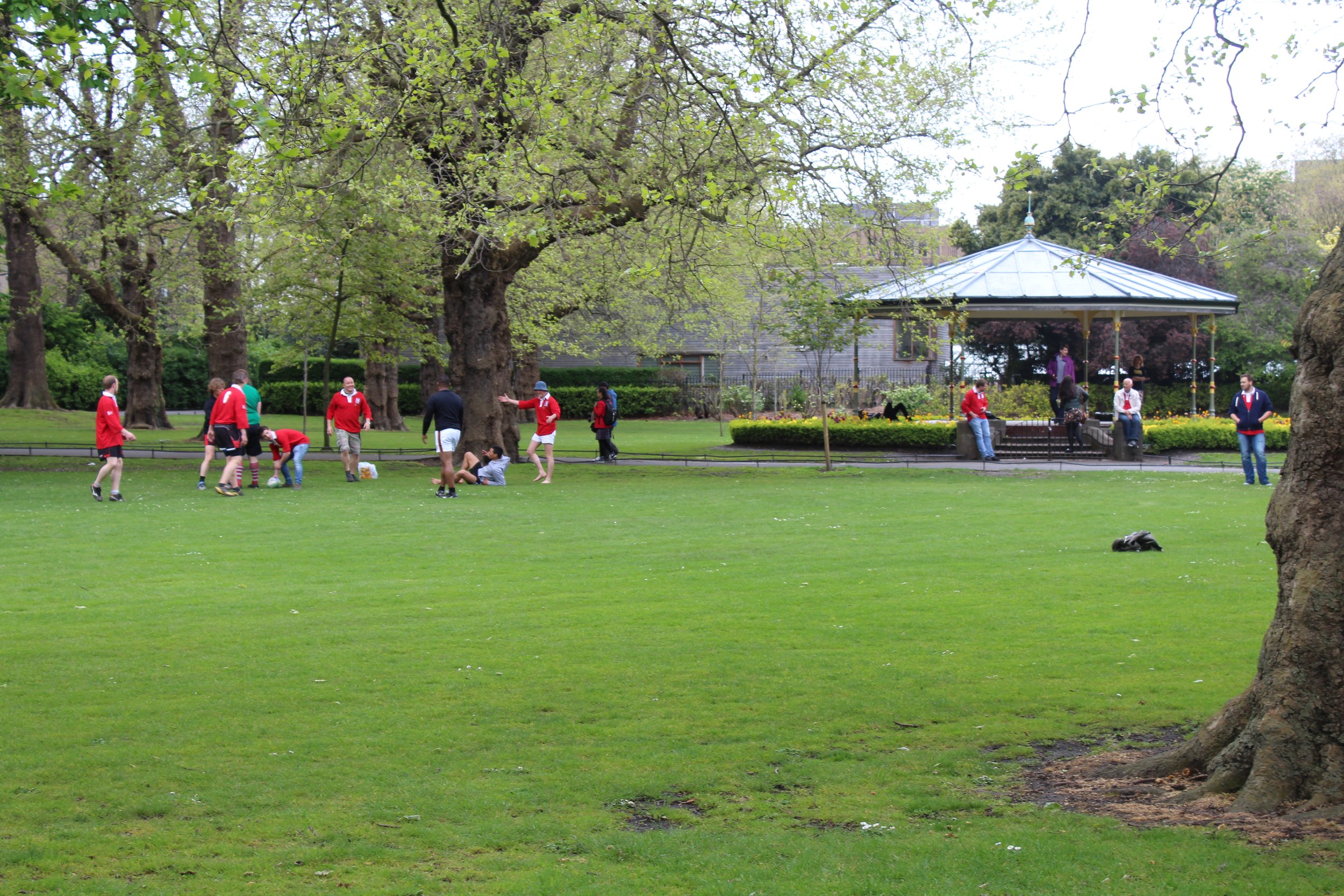 Cricket at Trinity College