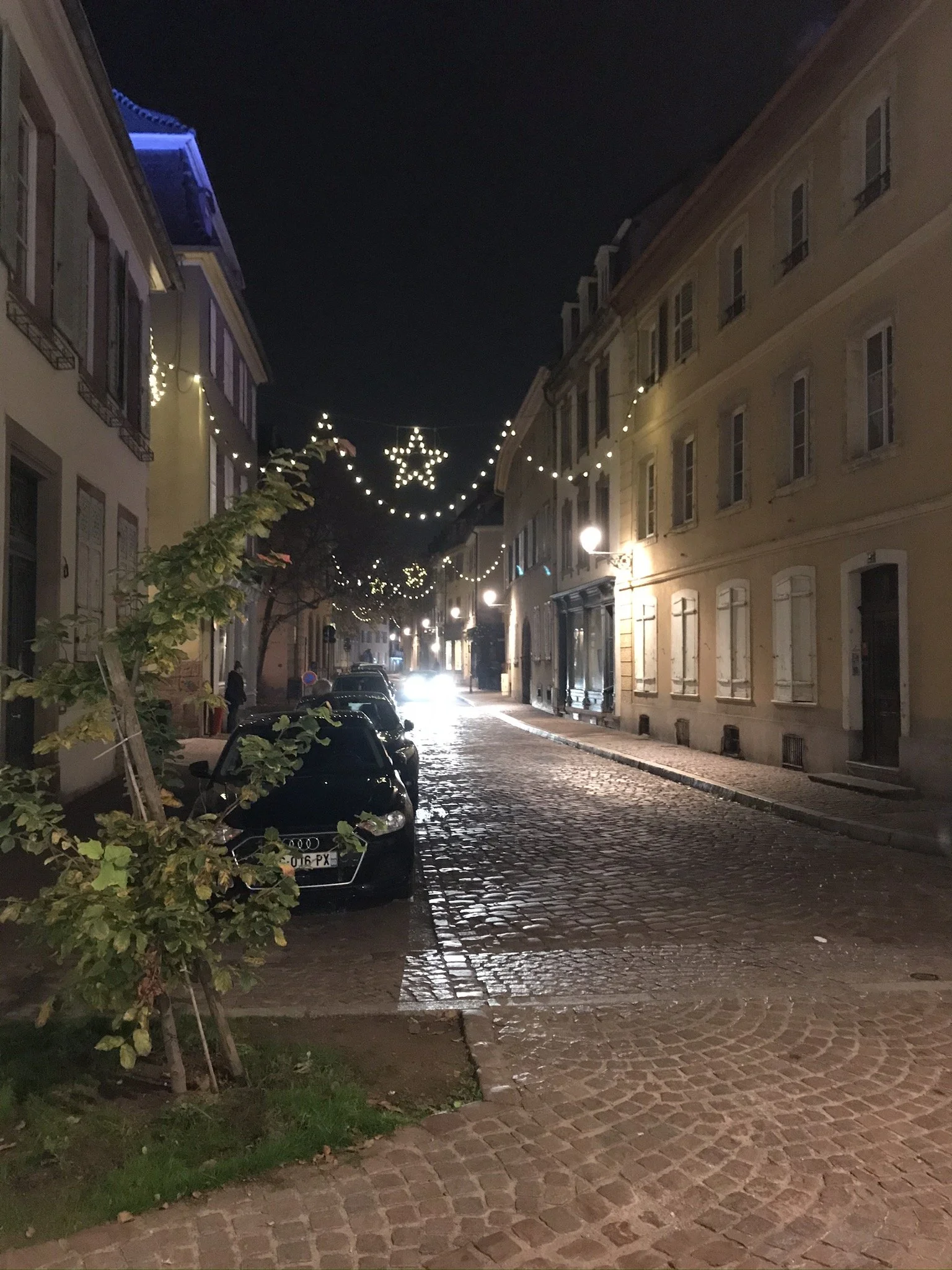 IMG_2955.JPEG