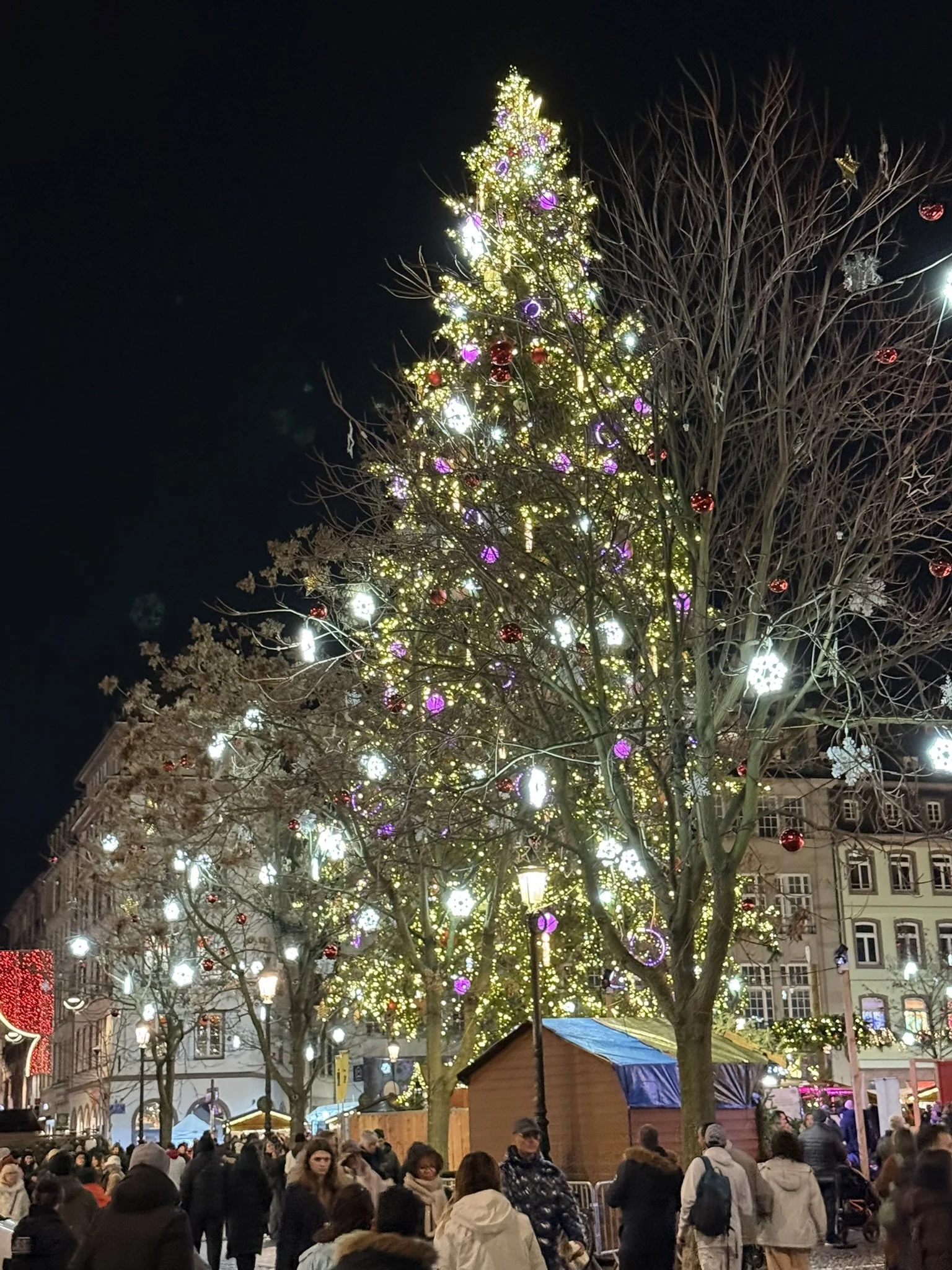 IMG_1238.JPEG