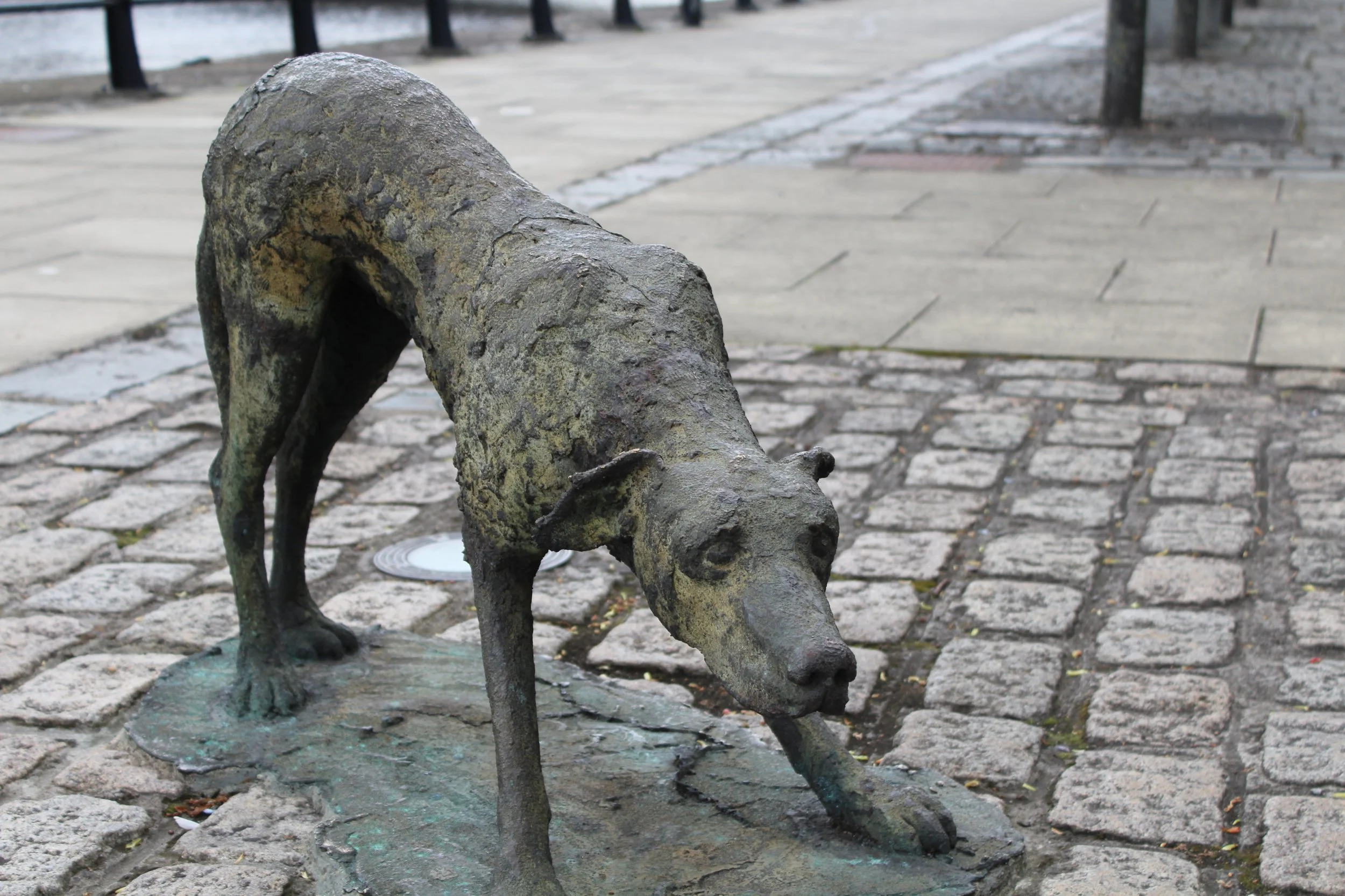 15-0509_Dublin-37.JPG