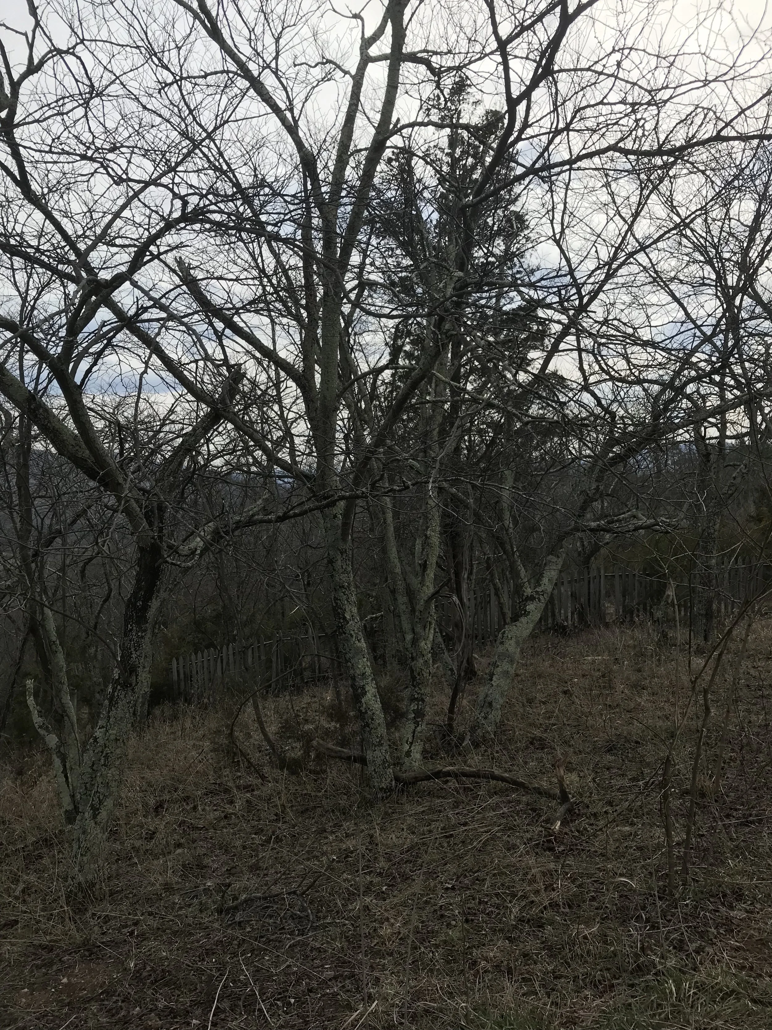 20180406_200923015_iOS.jpg