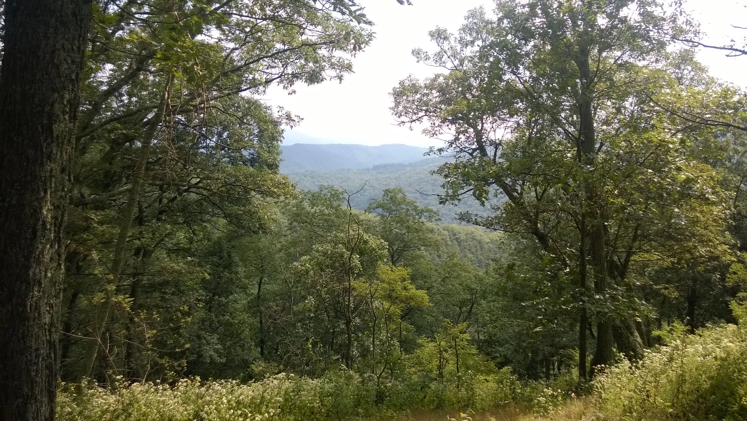 WP_20140830_14_22_06_Pro.jpg