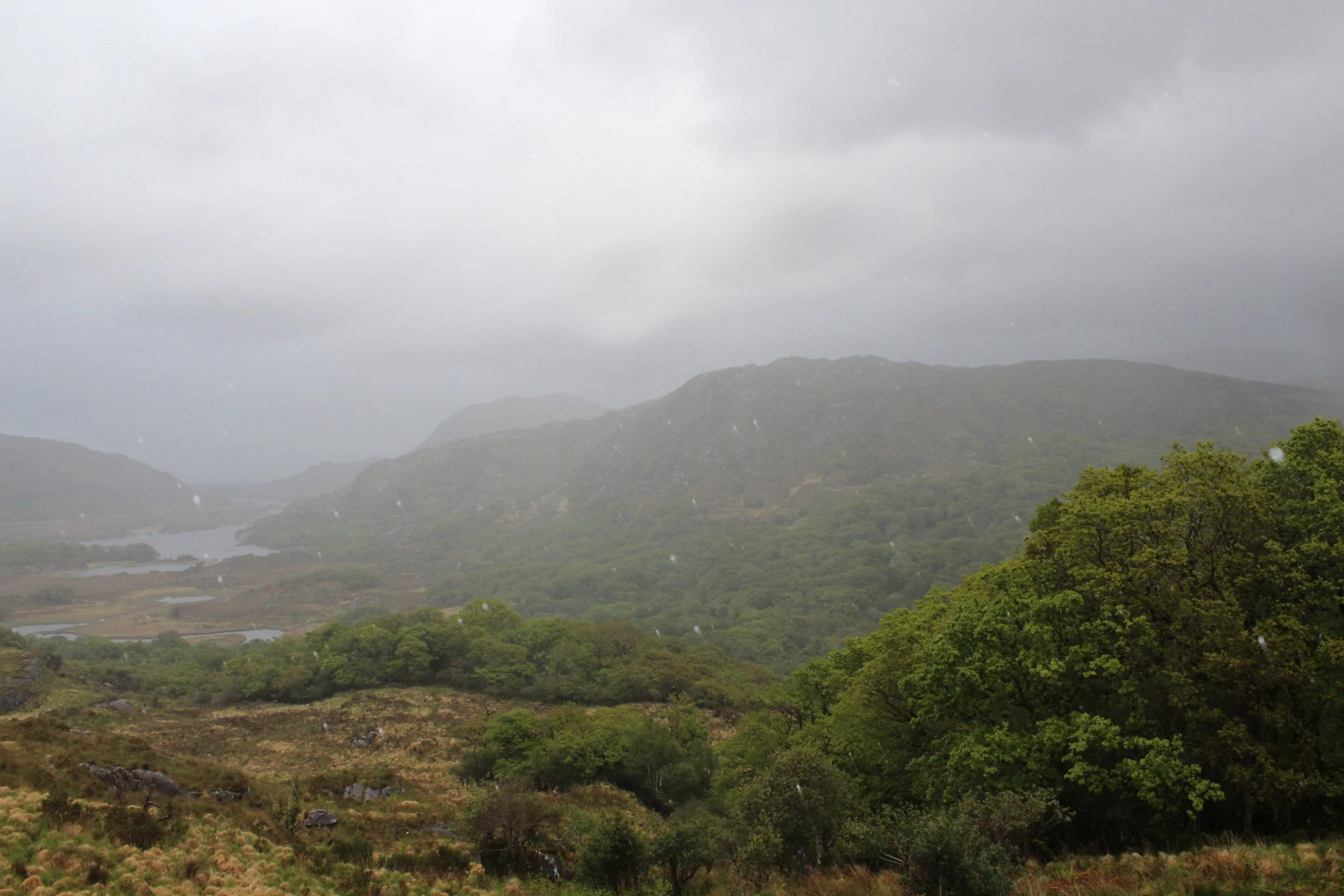 15-0518_Kenmare-2.JPG