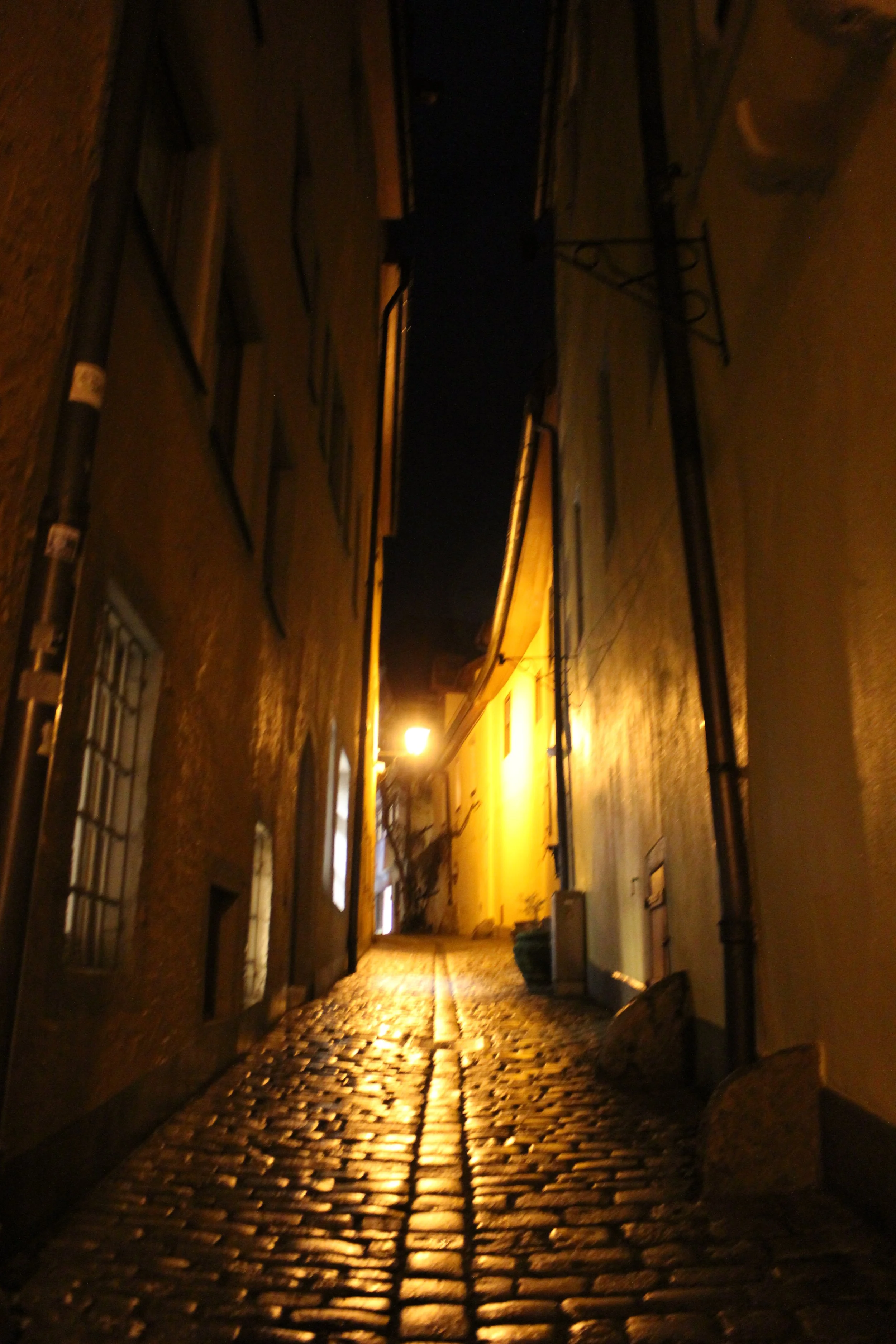 IMG_3678.JPG